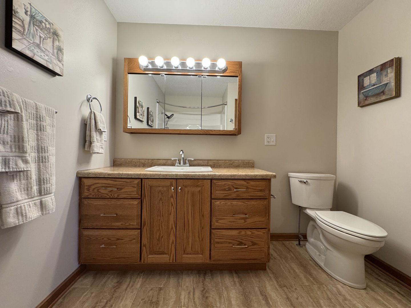 1511 Lady Brunetta Road Bourbonnais, IL 60914 - Photo 17 of 31