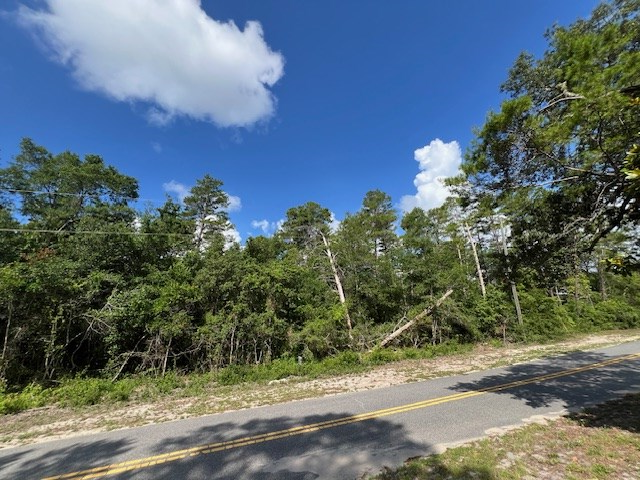 146 Indiana Street Carrabelle, FL 32322 - Photo 2 of 4