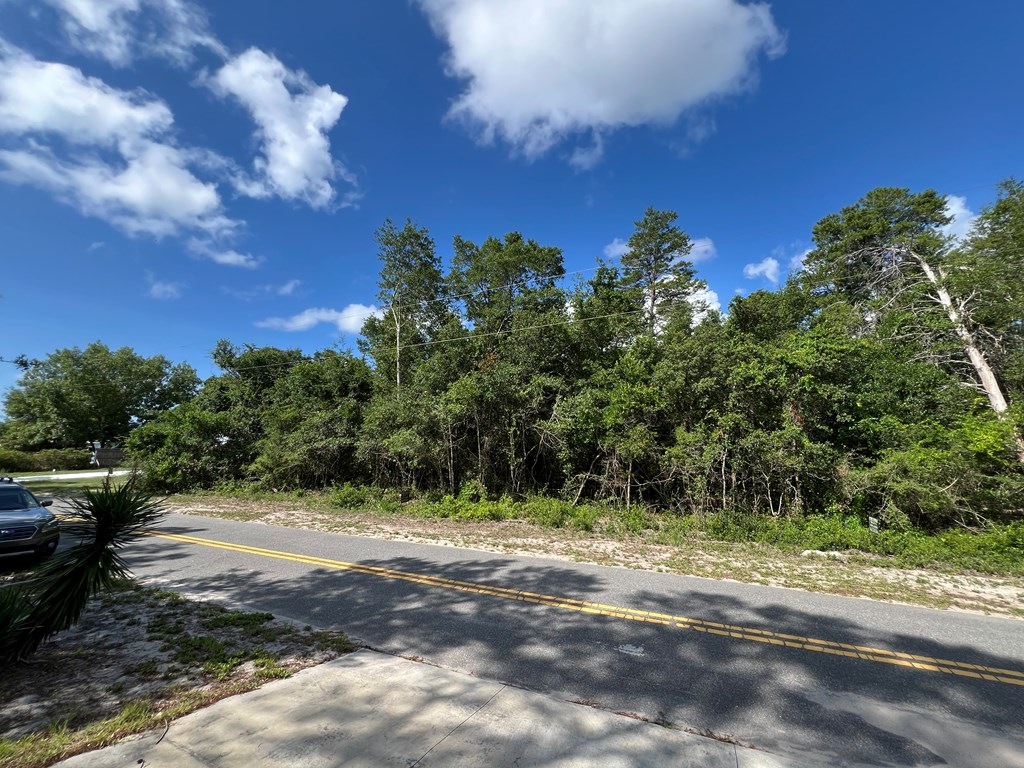 146 Indiana Street Carrabelle, FL 32322 - Photo 3 of 4
