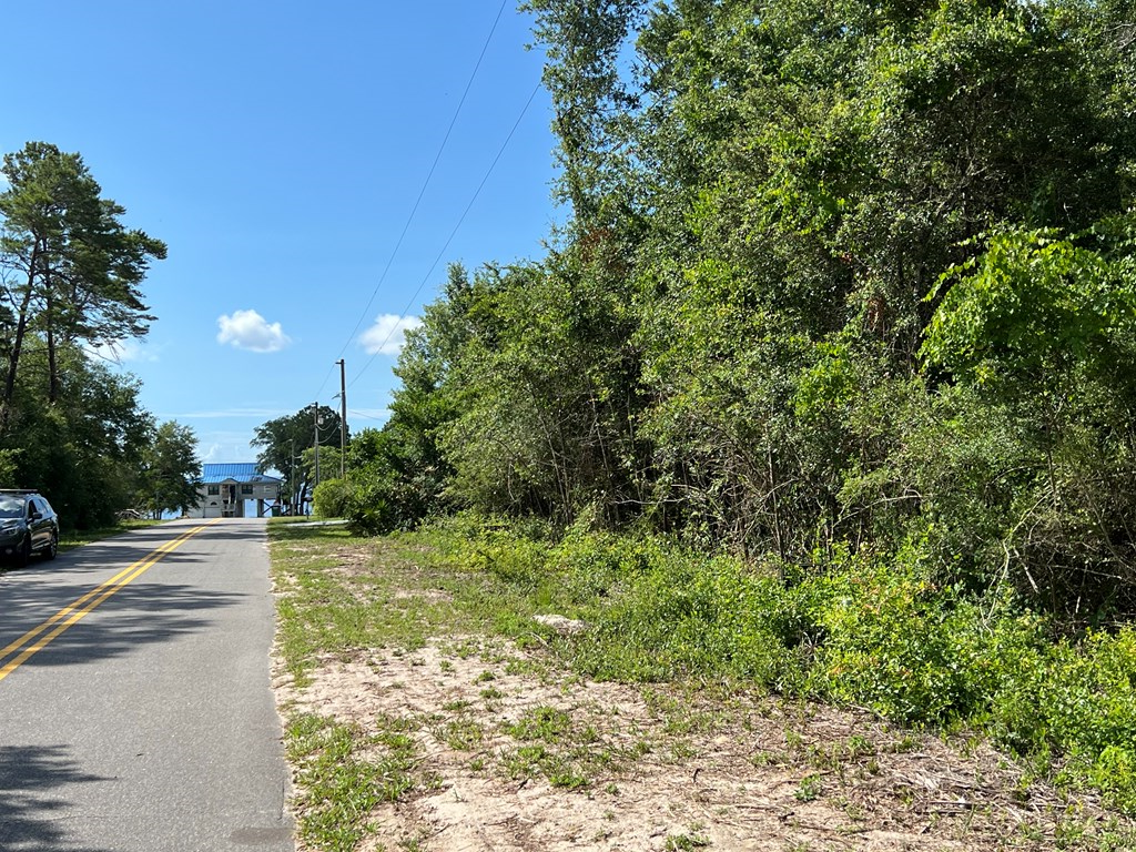 146 Indiana Street Carrabelle, FL 32322 - Photo 4 of 4