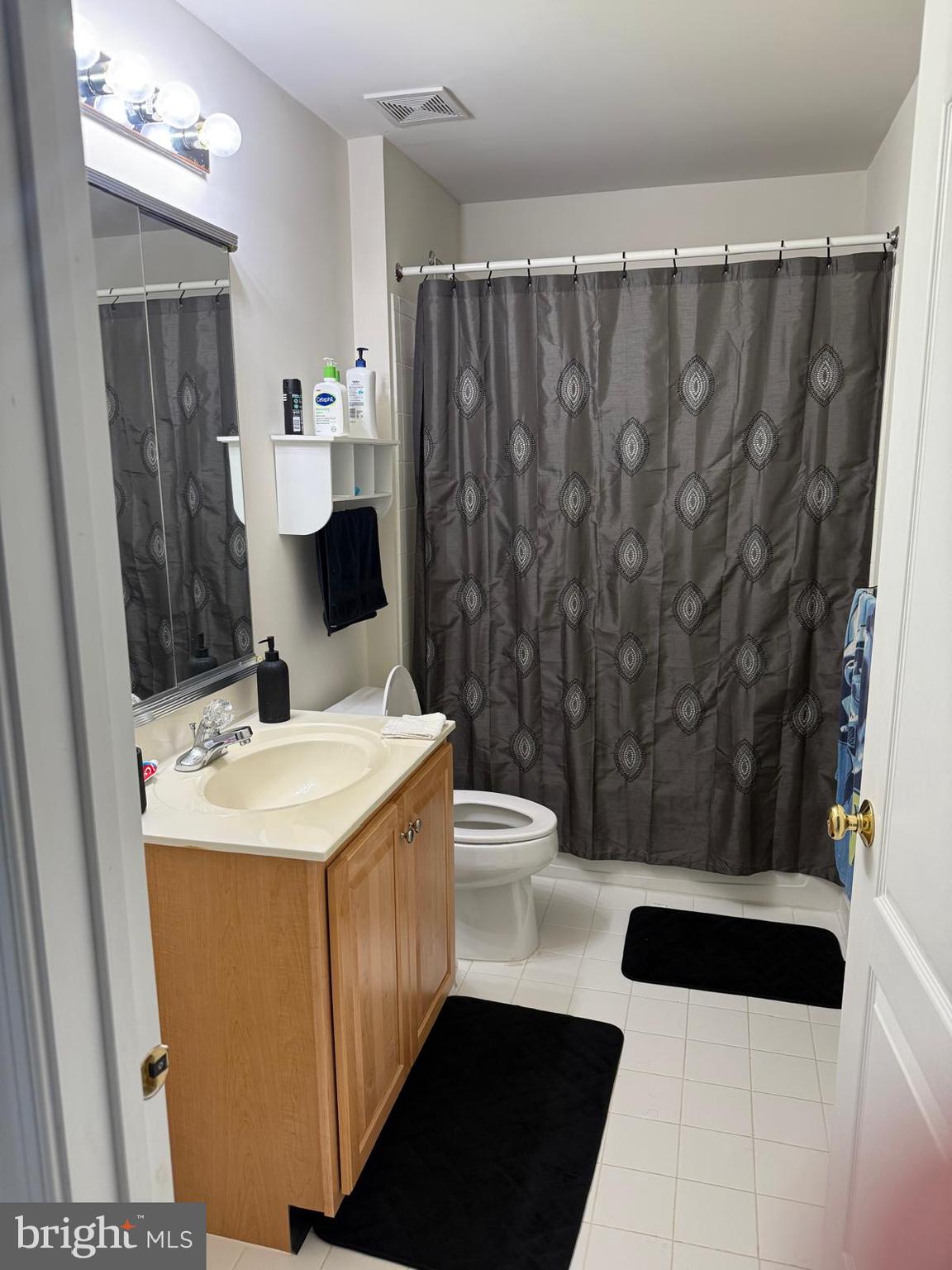 25210 Whippoorwill Terrace Chantilly, VA 20152 - Photo 32 of 33 a bathroom with a sink toilet and shower