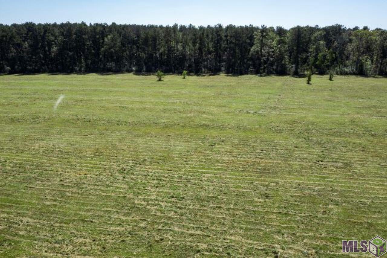 V2 Jim Price Road Clinton, LA 70722 - Photo 5 of 6