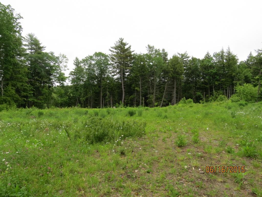 Lot 3 Marston Road Gardiner, ME 04345 - Photo 4 of 4 Photo