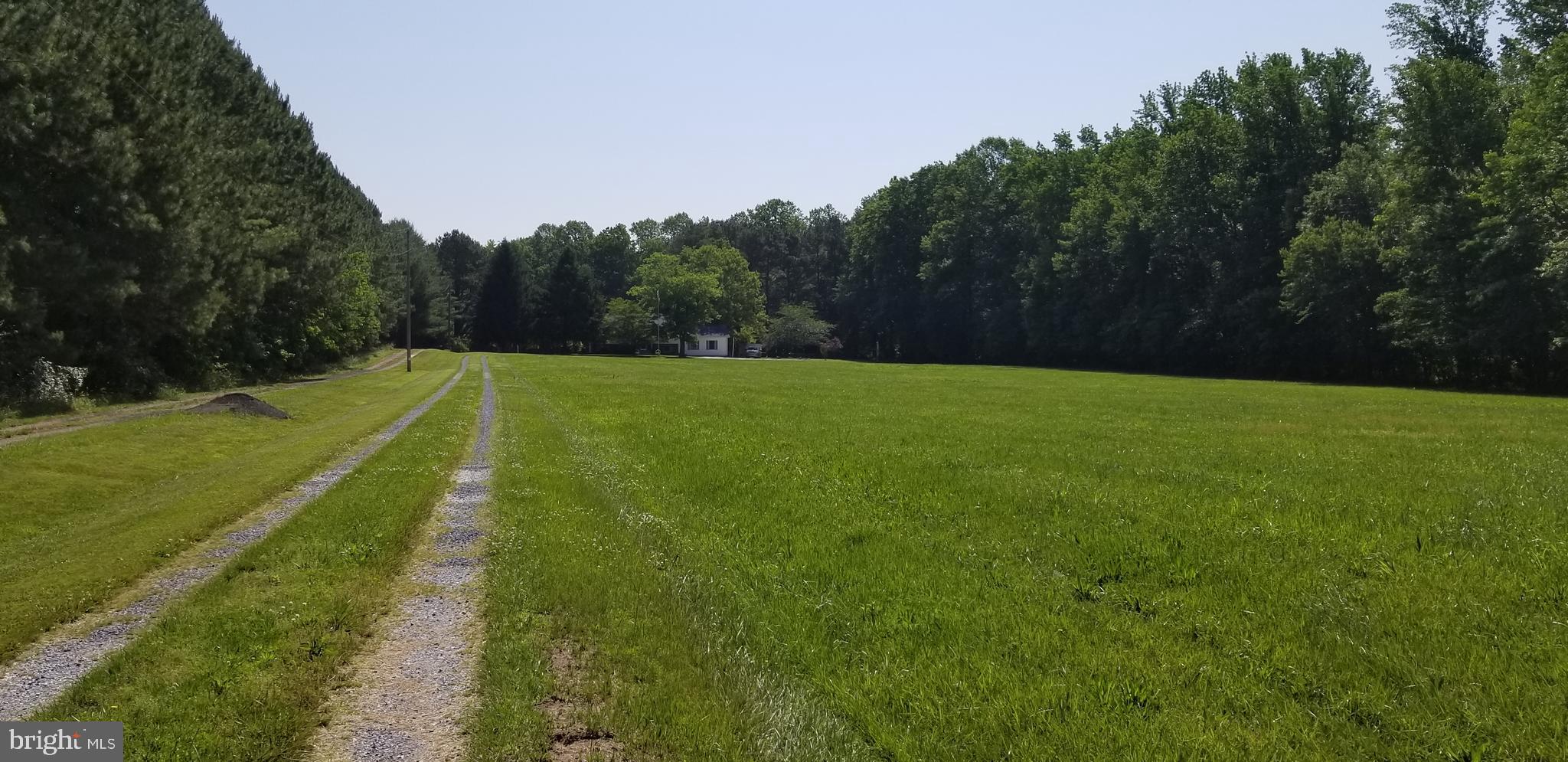 5086 Hopkins Cemetery Road Felton, DE 19943 - Photo 3 of 9 Gallery Image 3