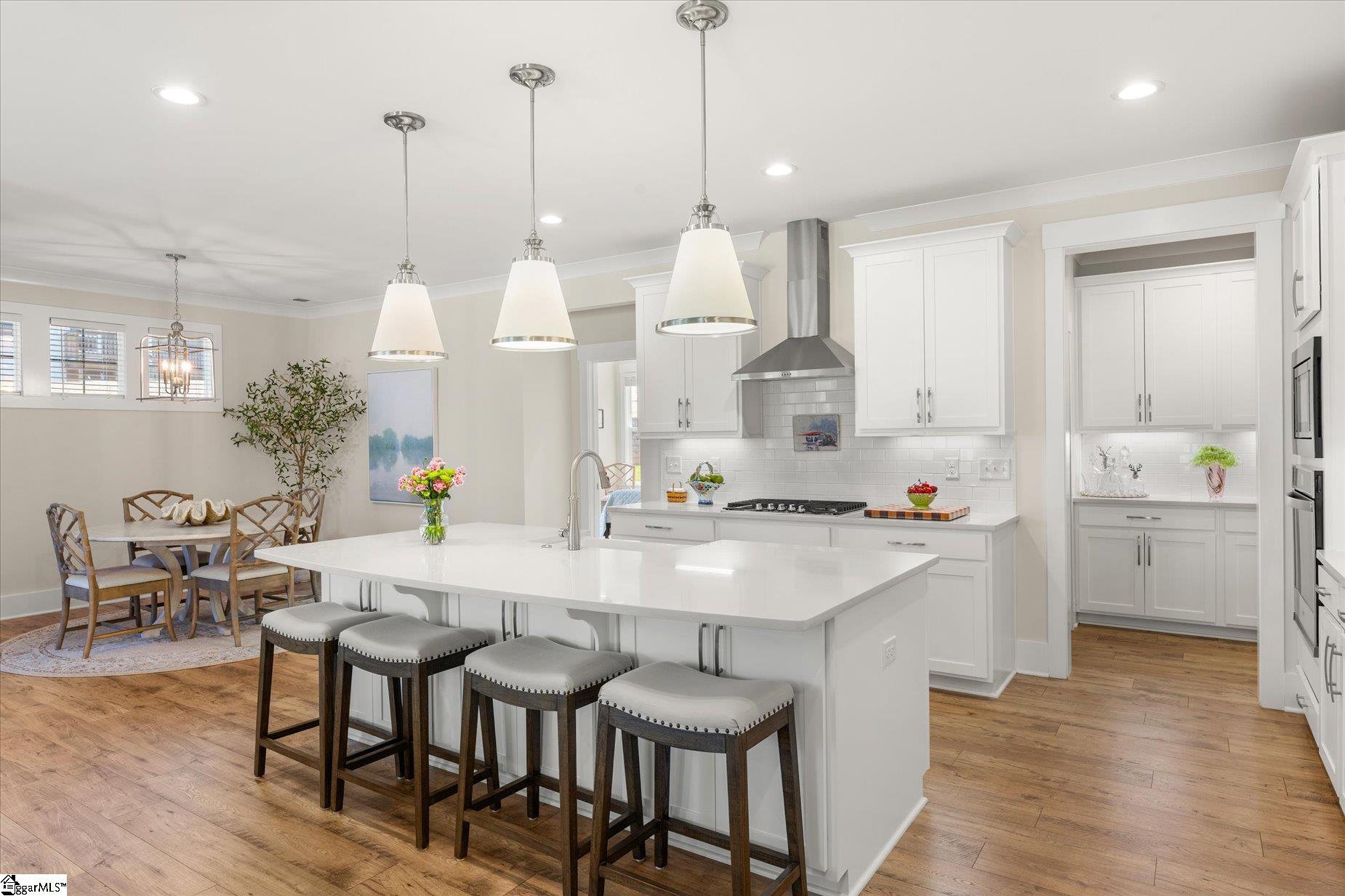 109 Coppa Court Fountain Inn, SC 29644 - Photo 15 of 40 Wait until you see this Kitchen in person!