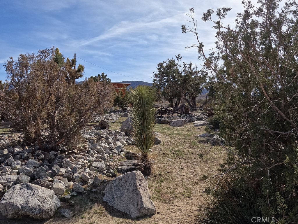 30000 Buchannon Ranch Road Llano, CA 93544 - Photo 4 of 64 a view of a outdoor space
