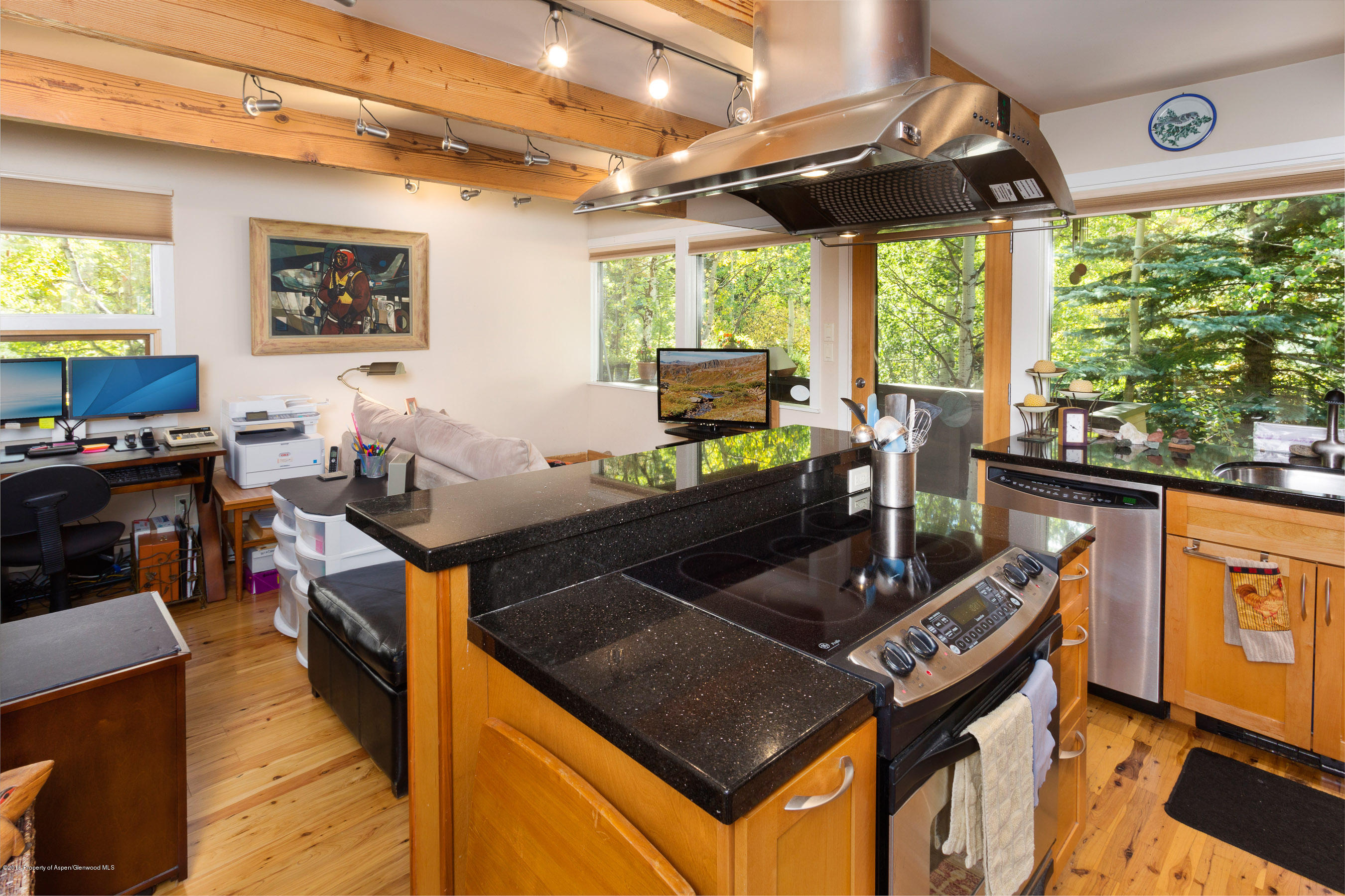 550 South Riverside Avenue, Unit 4 Aspen, CO 81611 - Photo 1 of 14 550Riverside4_CREST-1