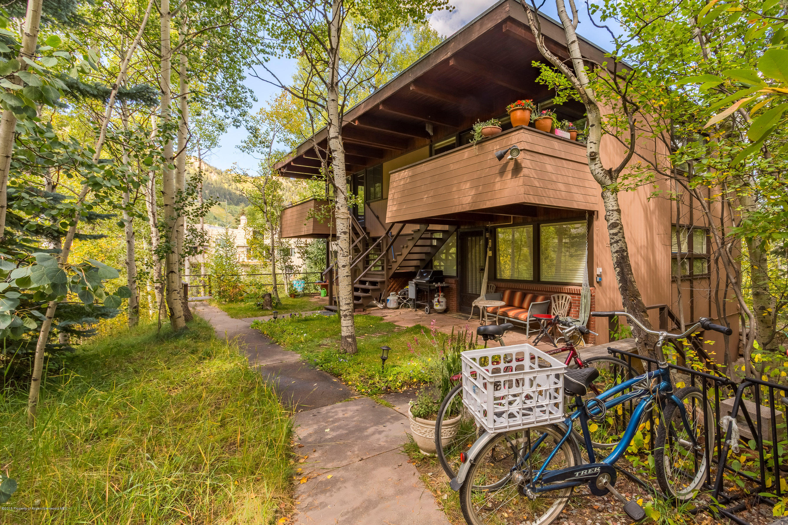 550 South Riverside Avenue, Unit 4 Aspen, CO 81611 - Photo 11 of 14 550Riverside4_CREST-11