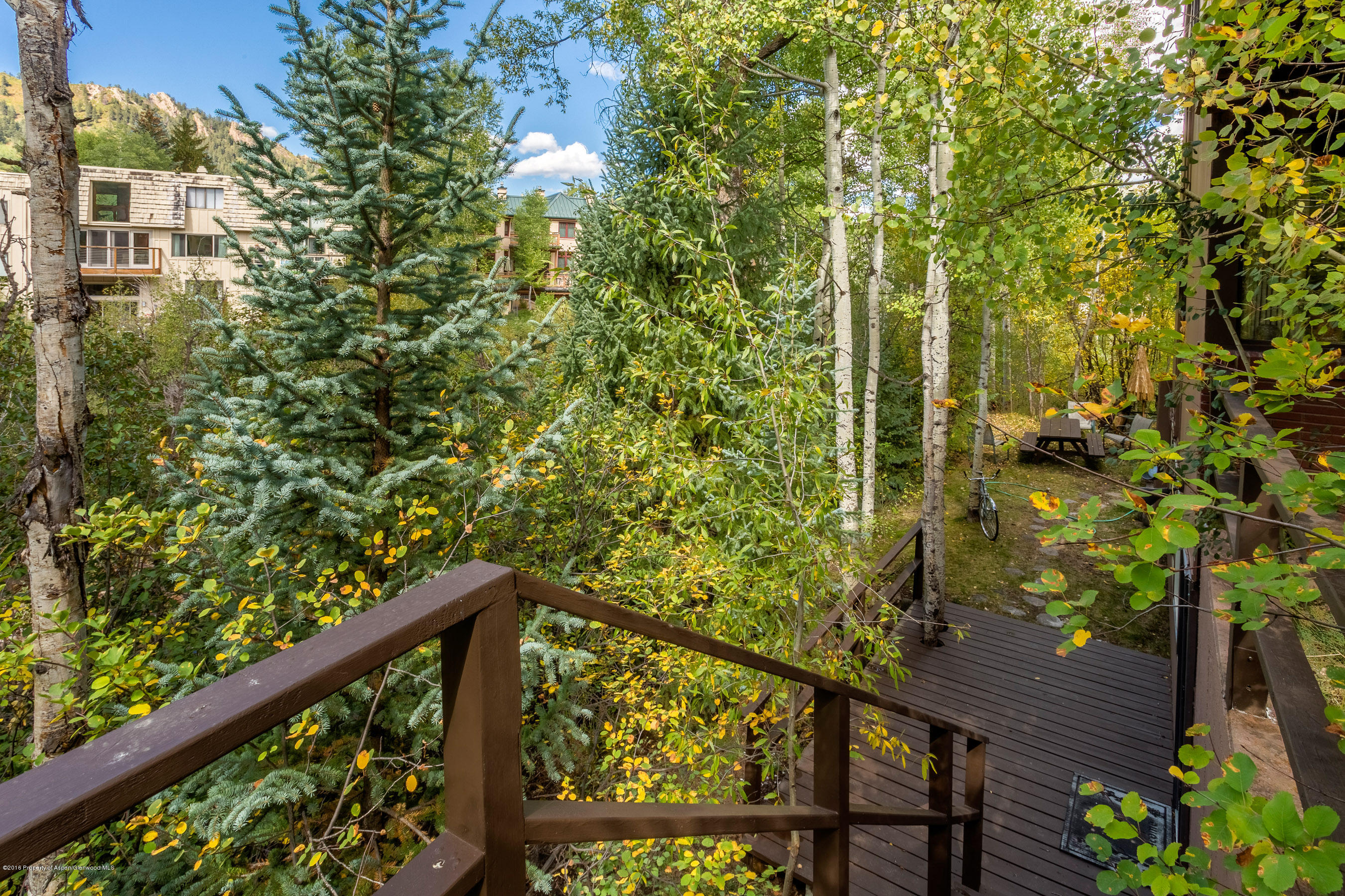 550 South Riverside Avenue, Unit 4 Aspen, CO 81611 - Photo 13 of 14 550Riverside4_CREST-13