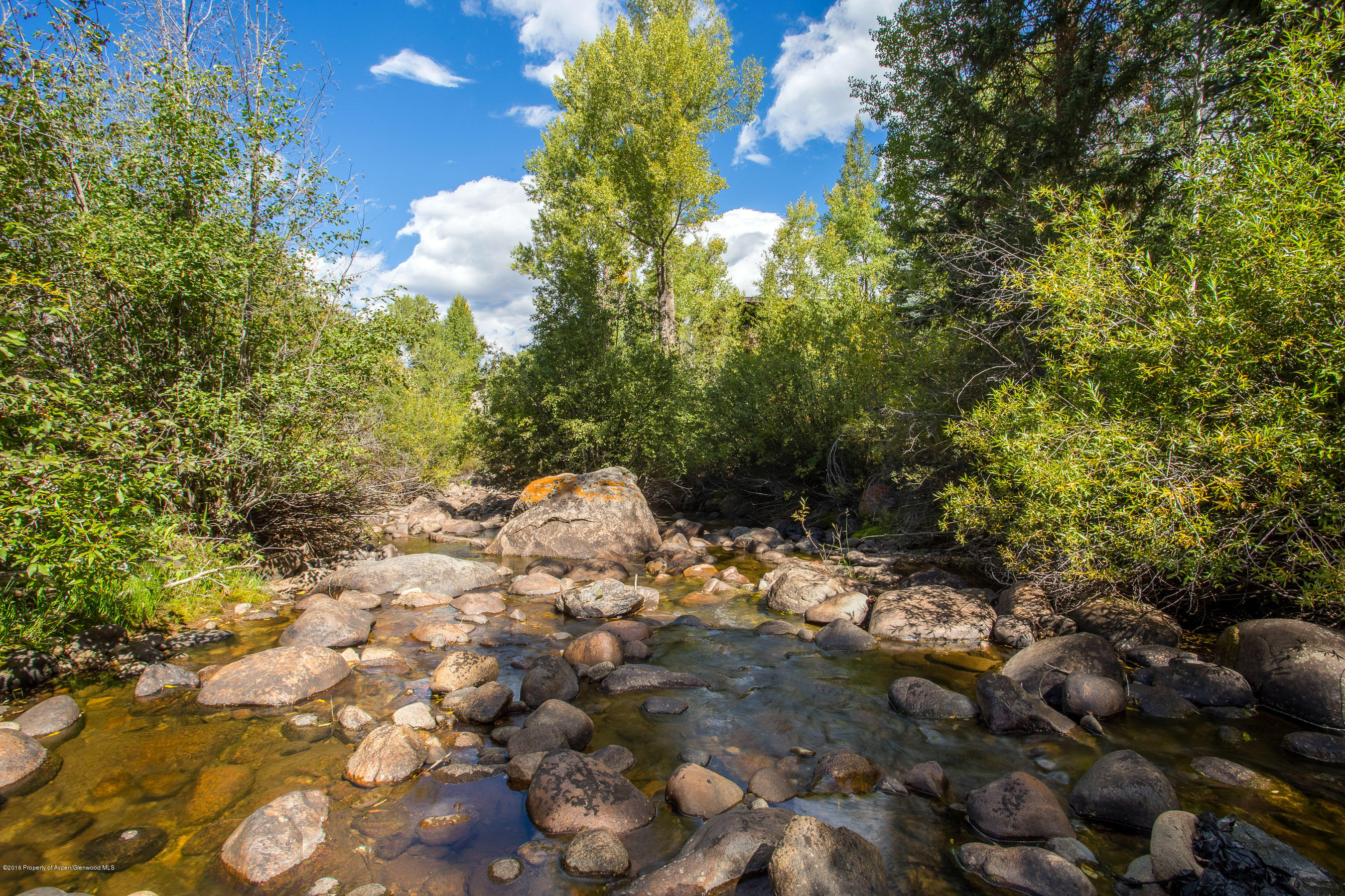 550 South Riverside Avenue, Unit 4 Aspen, CO 81611 - Photo 14 of 14 550Riverside4_CREST-14