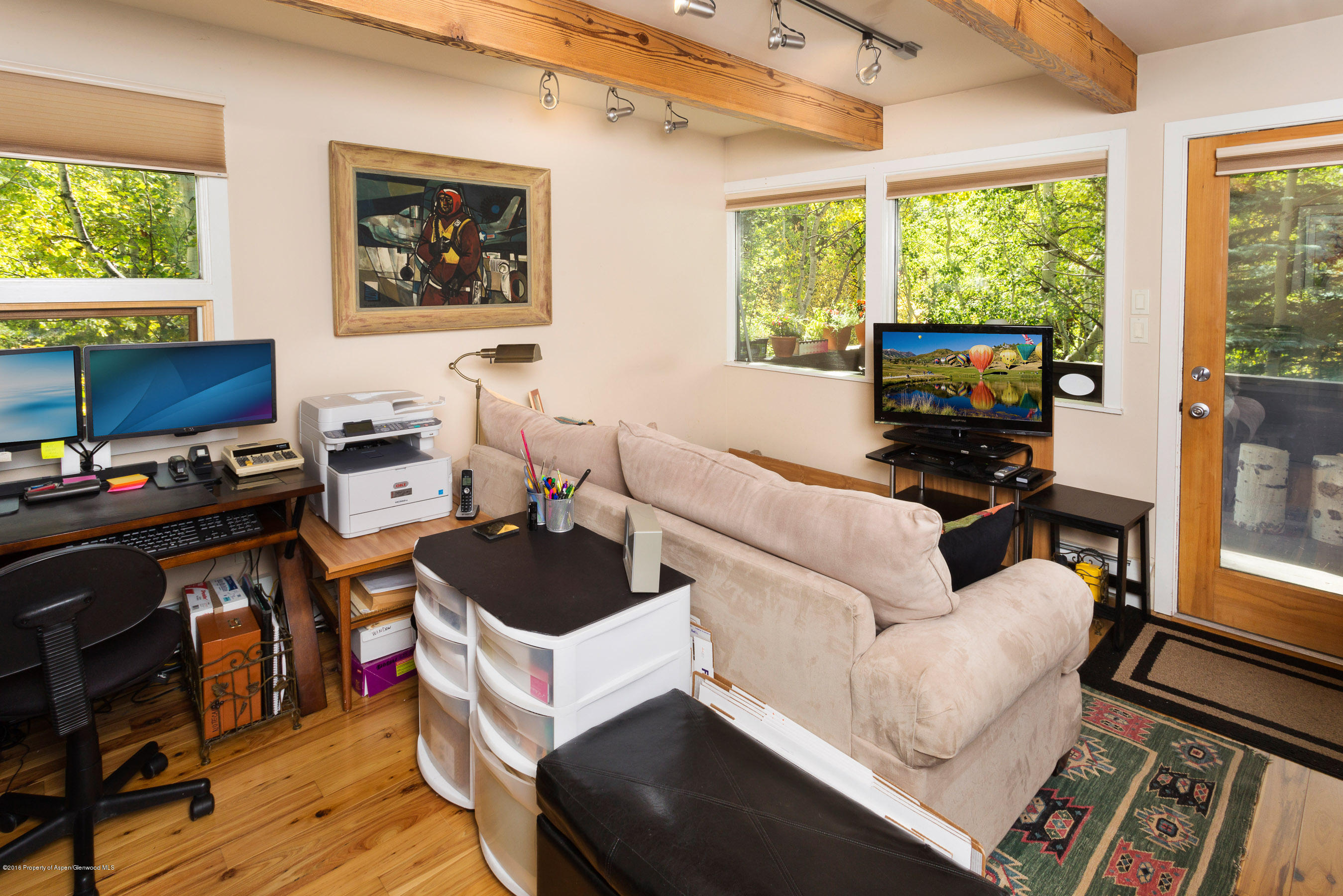 550 South Riverside Avenue, Unit 4 Aspen, CO 81611 - Photo 2 of 14 550Riverside4_CREST-2