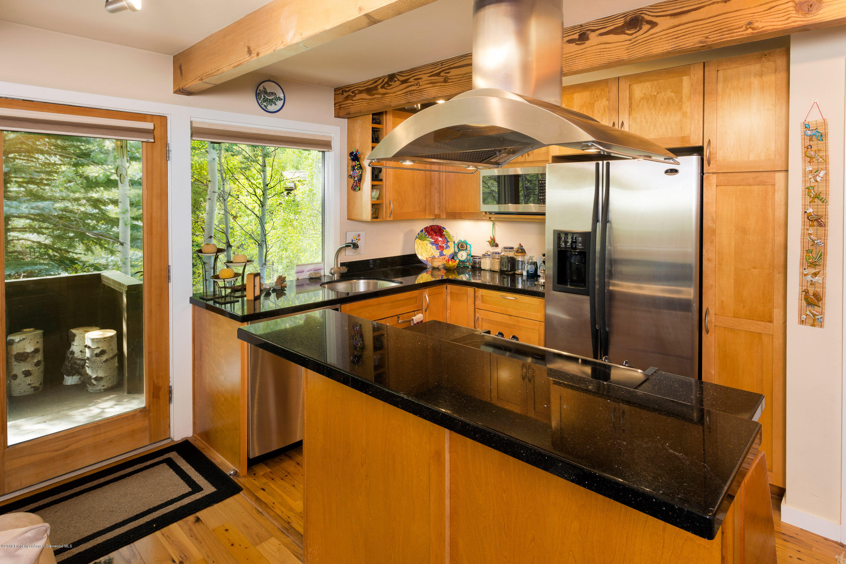 550 South Riverside Avenue, Unit 4 Aspen, CO 81611 - Photo 3 of 14 550Riverside4_CREST-3