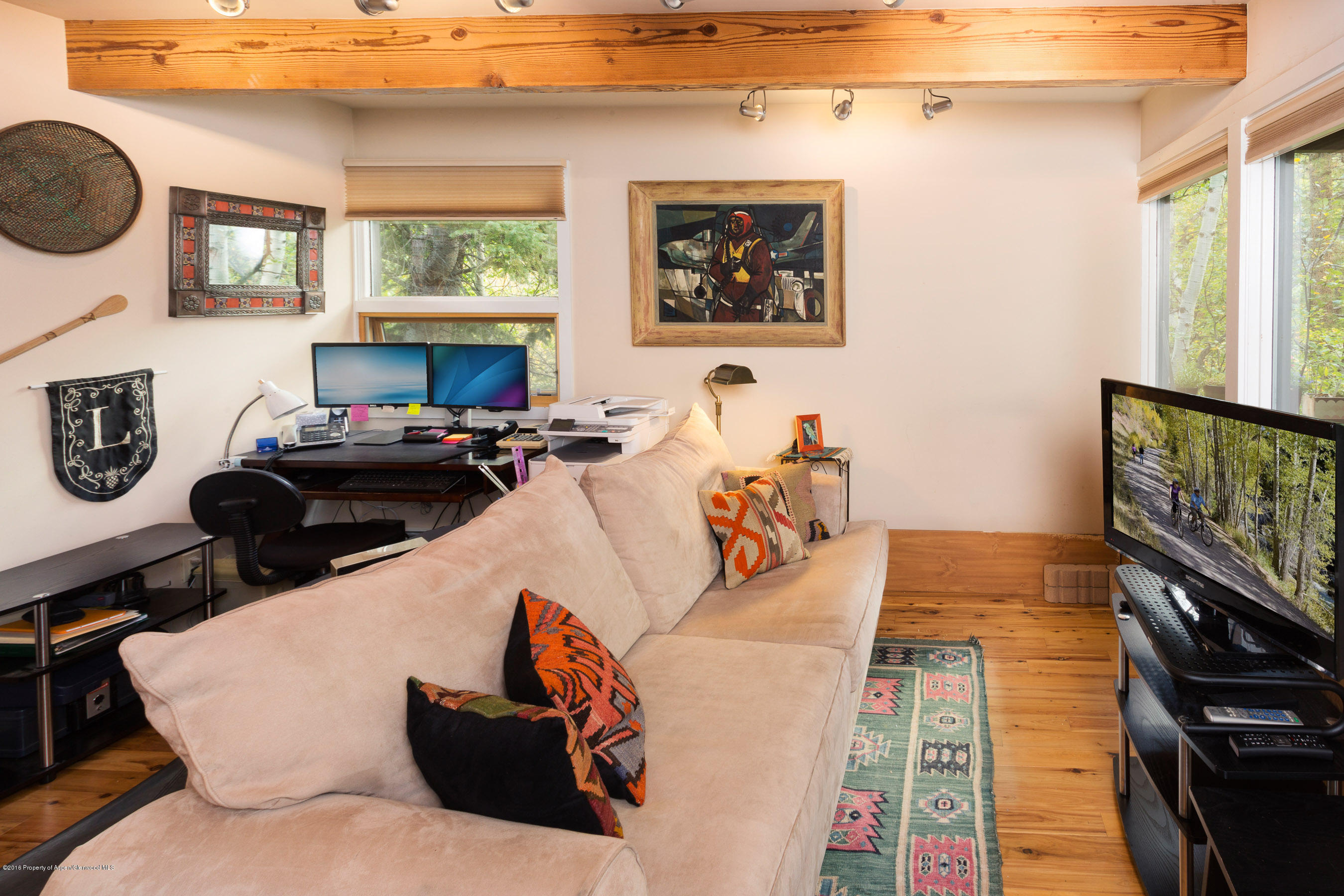 550 South Riverside Avenue, Unit 4 Aspen, CO 81611 - Photo 4 of 14 550Riverside4_CREST-4