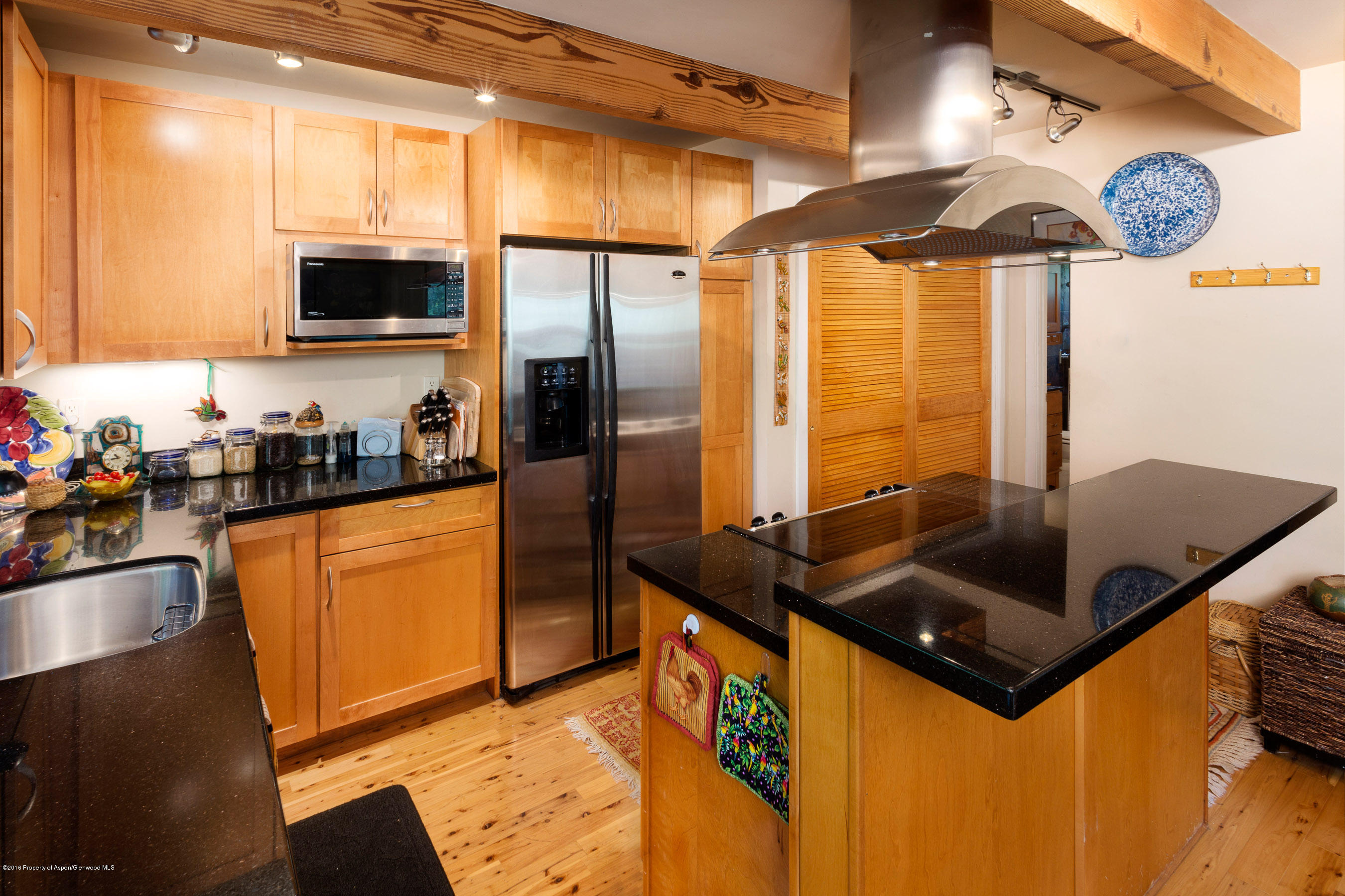 550 South Riverside Avenue, Unit 4 Aspen, CO 81611 - Photo 5 of 14 550Riverside4_CREST-5