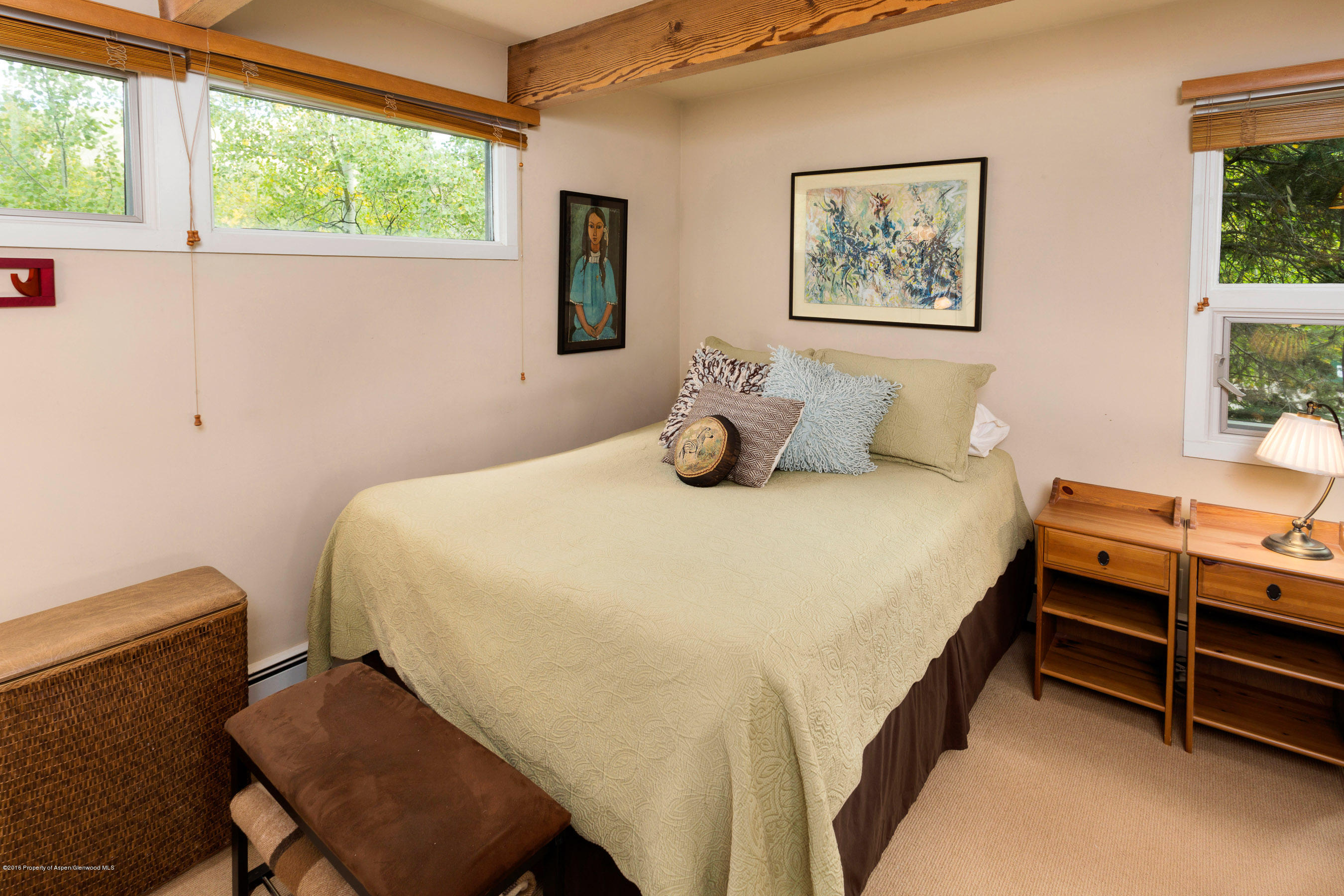 550 South Riverside Avenue, Unit 4 Aspen, CO 81611 - Photo 7 of 14 550Riverside4_CREST-7
