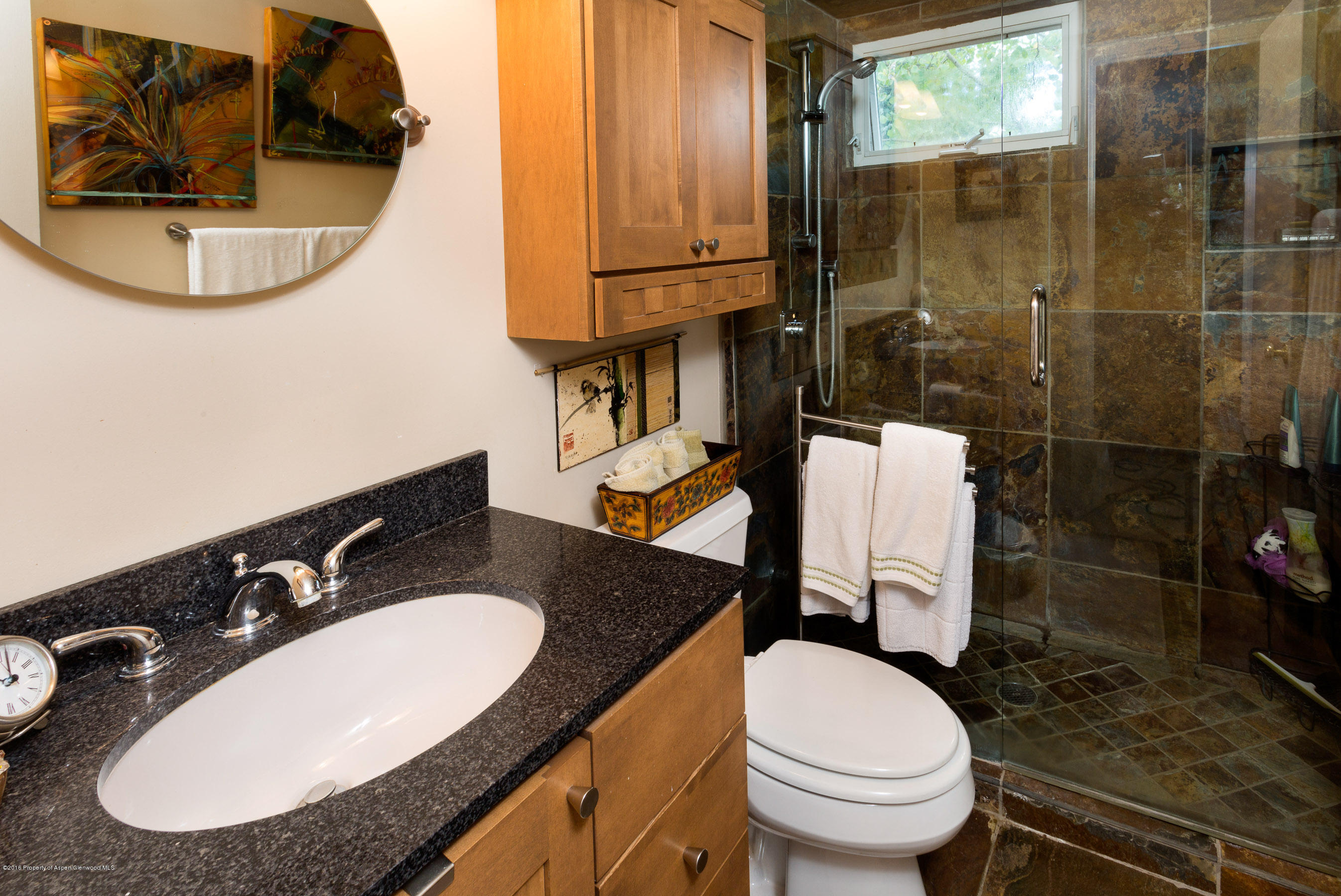 550 South Riverside Avenue, Unit 4 Aspen, CO 81611 - Photo 8 of 14 550Riverside4_CREST-8