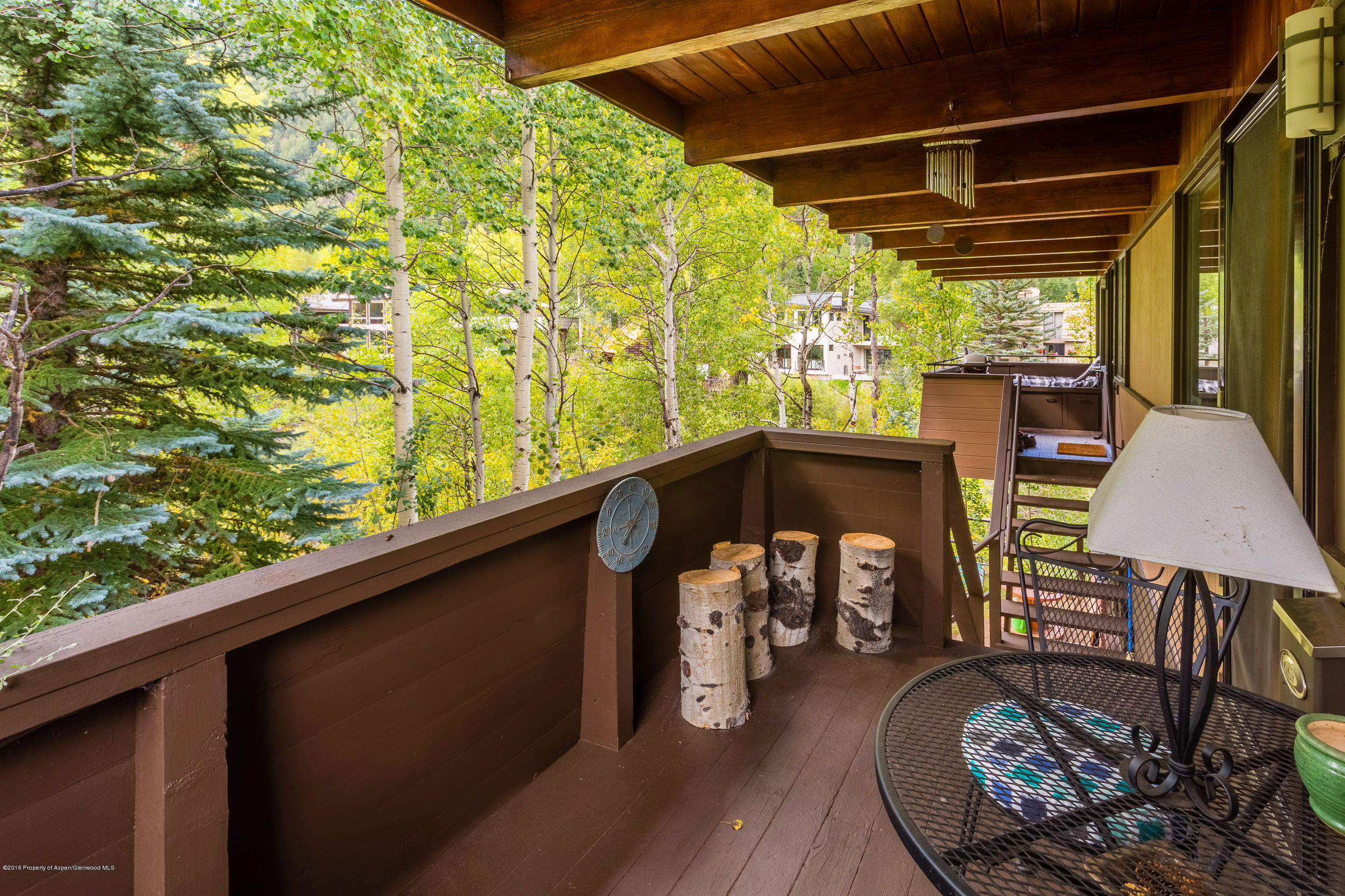 550 South Riverside Avenue, Unit 4 Aspen, CO 81611 - Photo 9 of 14 550Riverside4_CREST-9