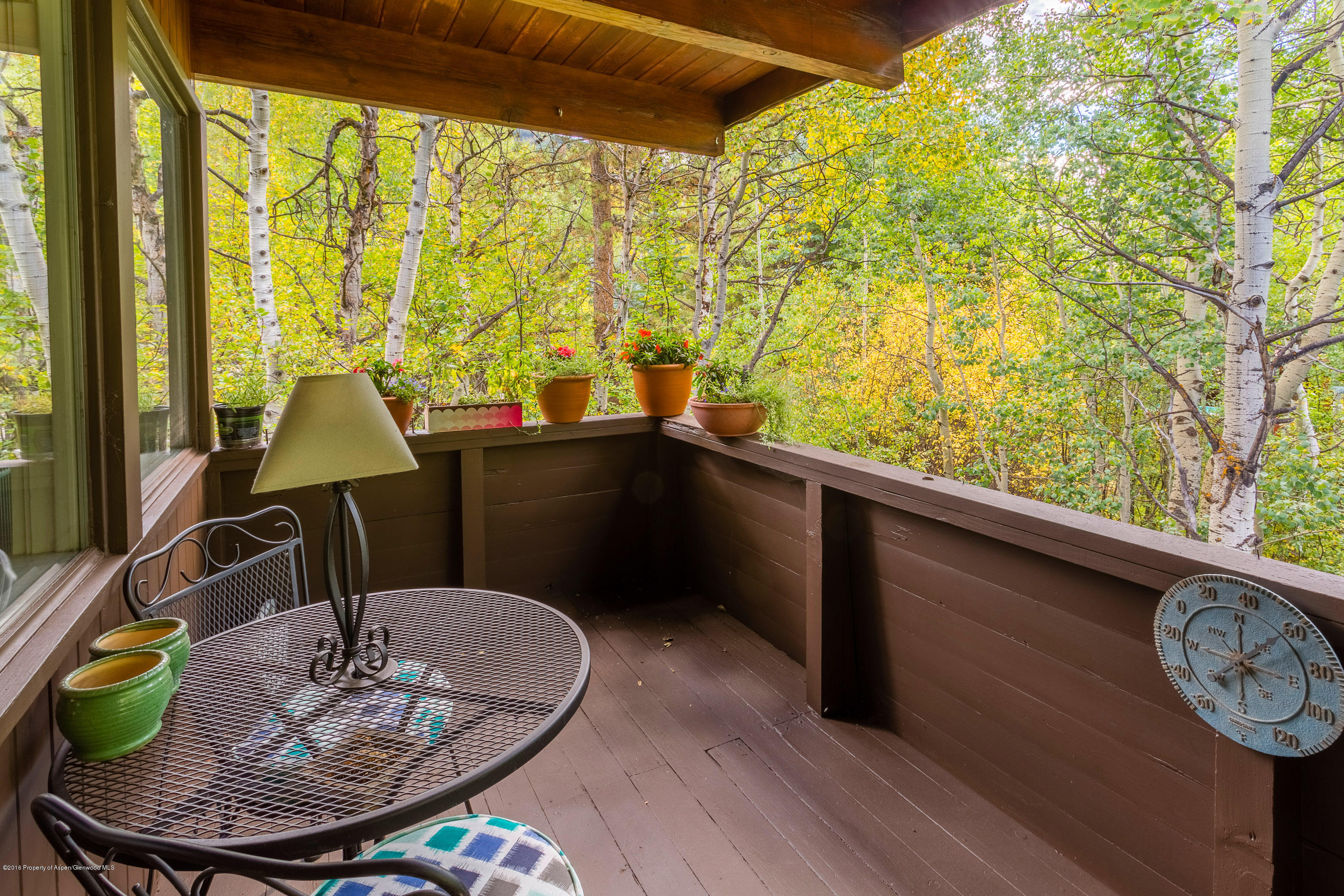 550 South Riverside Avenue, Unit 4 Aspen, CO 81611 - Photo 10 of 14 550Riverside4_CREST-10