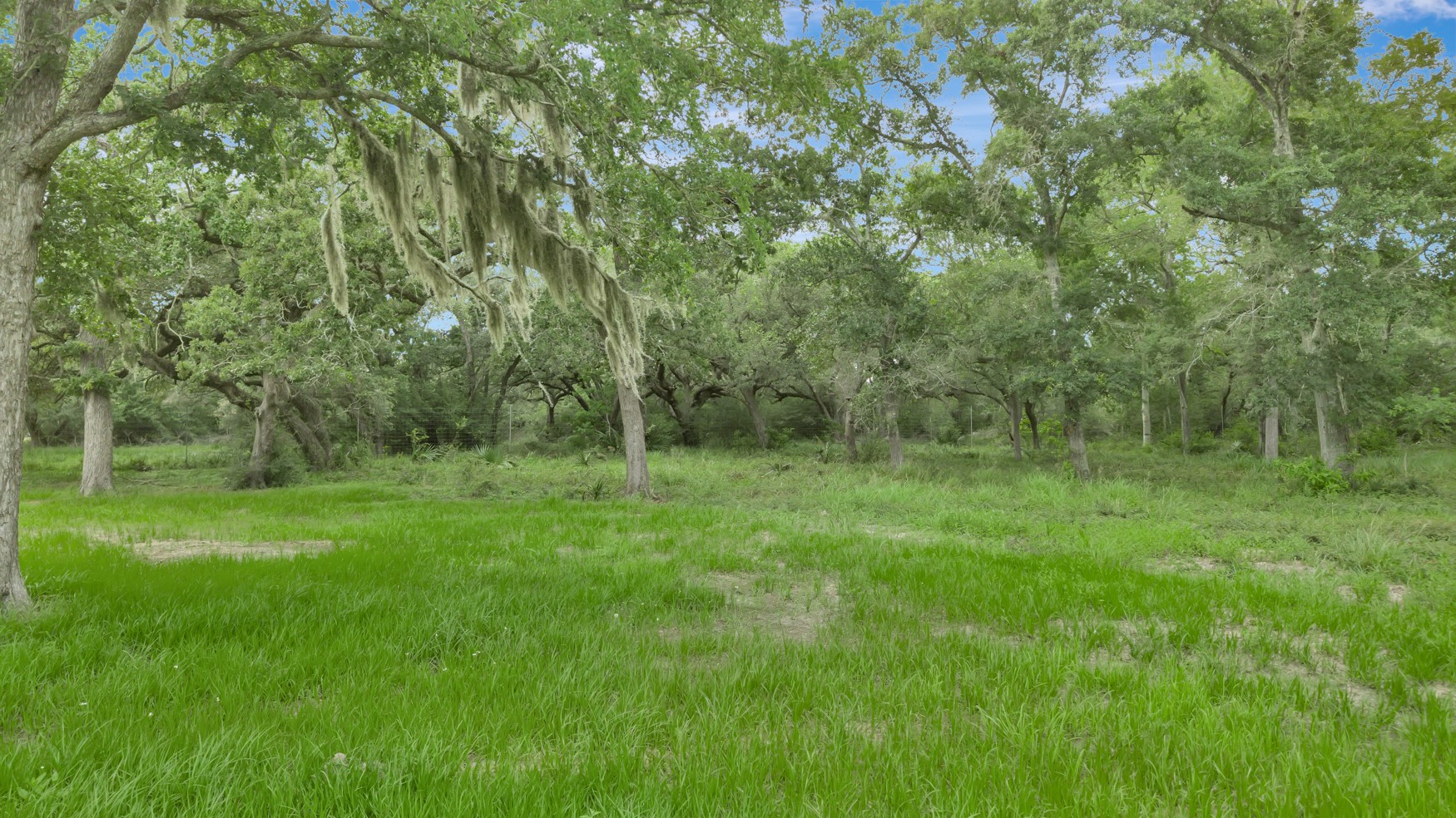 4600 Fm 1862 Road Palacios, TX 77465 - Photo 27 of 43
