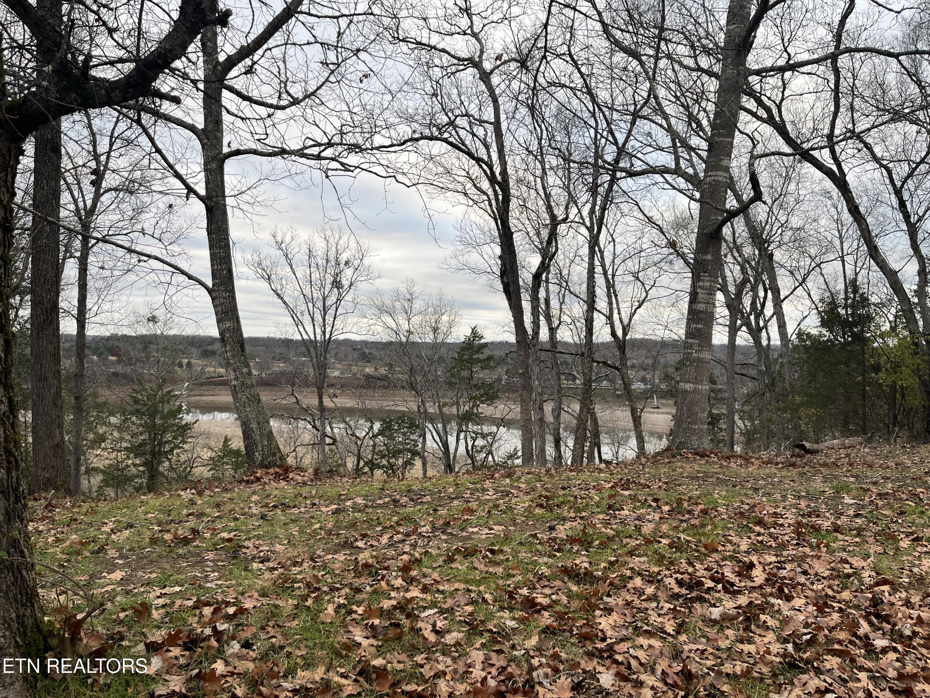 Lot 15-16 Waterford Way Newport, TN 37821 - Photo 5 of 14 IMG_1689