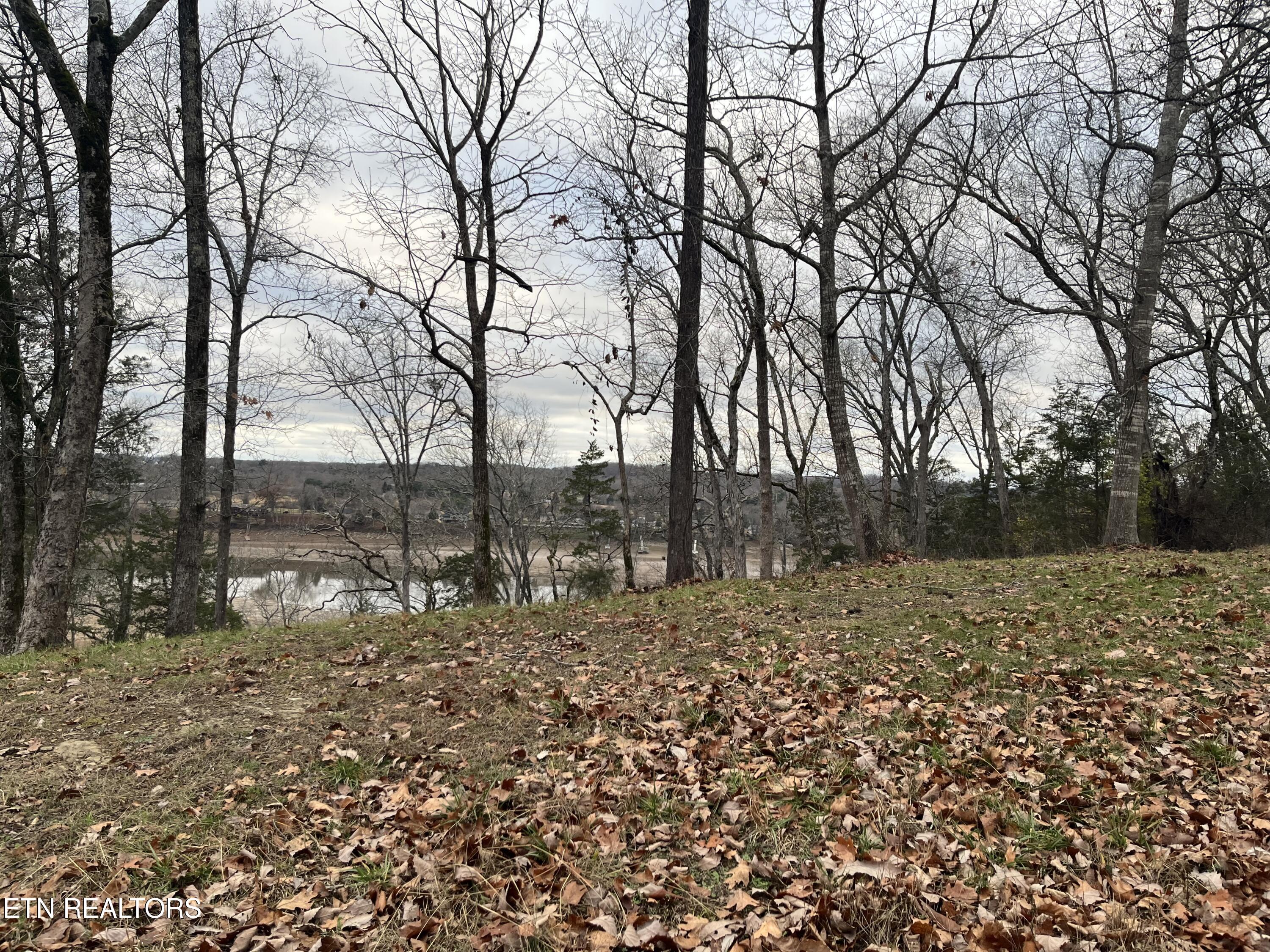 Lot 15-16 Waterford Way Newport, TN 37821 - Photo 6 of 14 IMG_1688