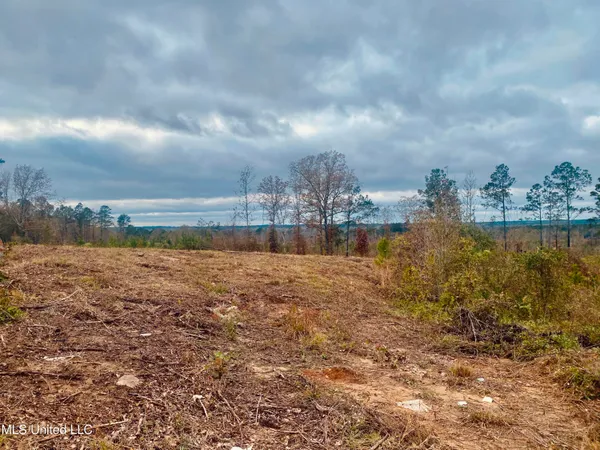 $27,000 | St Anne Road, Carthage, MS 39051