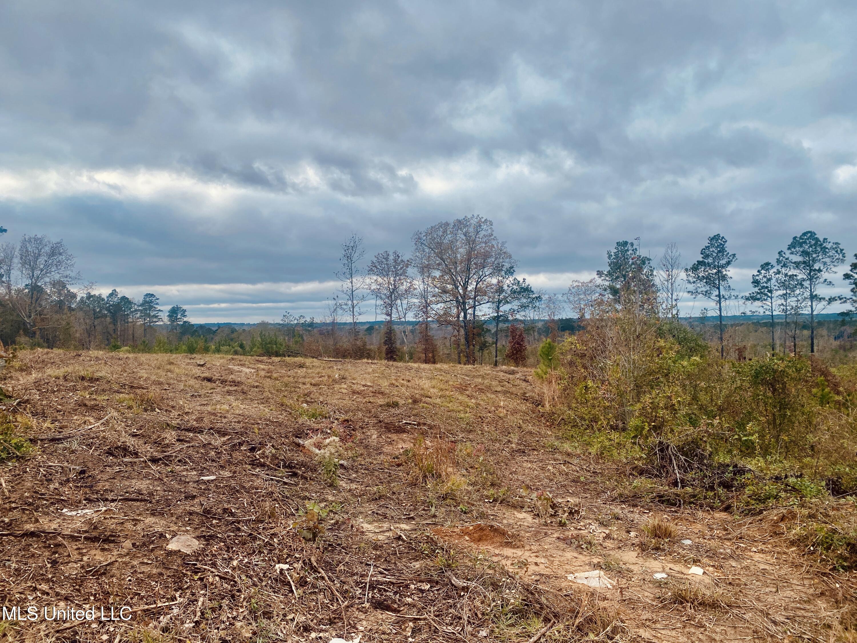 St Anne Road Carthage, MS 39051 - Photo 2 of 8 IMG_1350