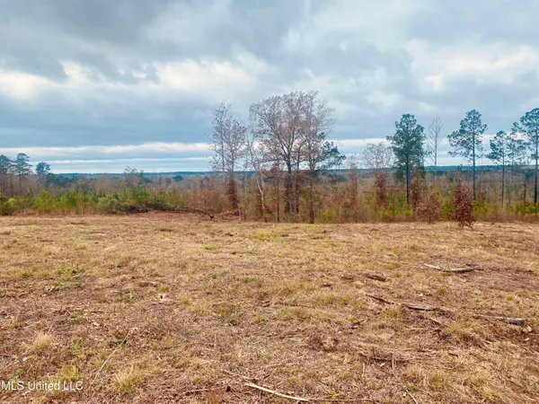 $27,000 | St Anne Road, Carthage, MS 39051