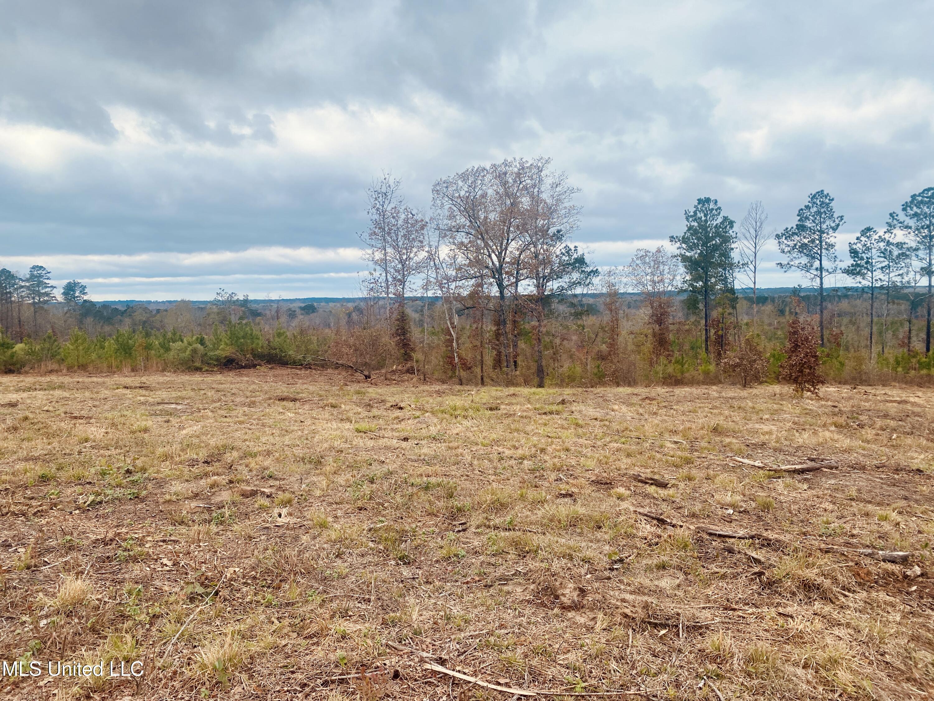 St Anne Road Carthage, MS 39051 - Photo 3 of 8 IMG_1352