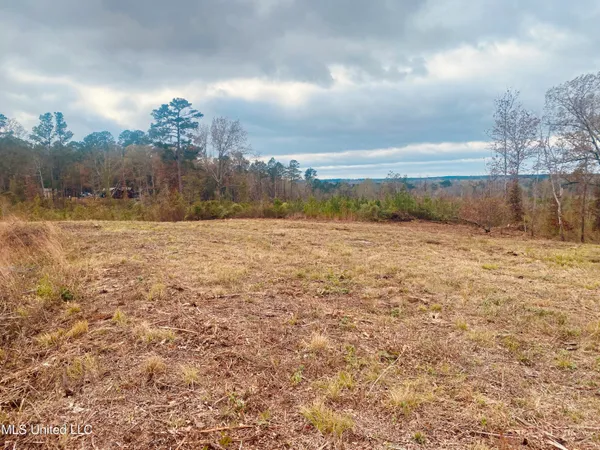 $27,000 | St Anne Road, Carthage, MS 39051