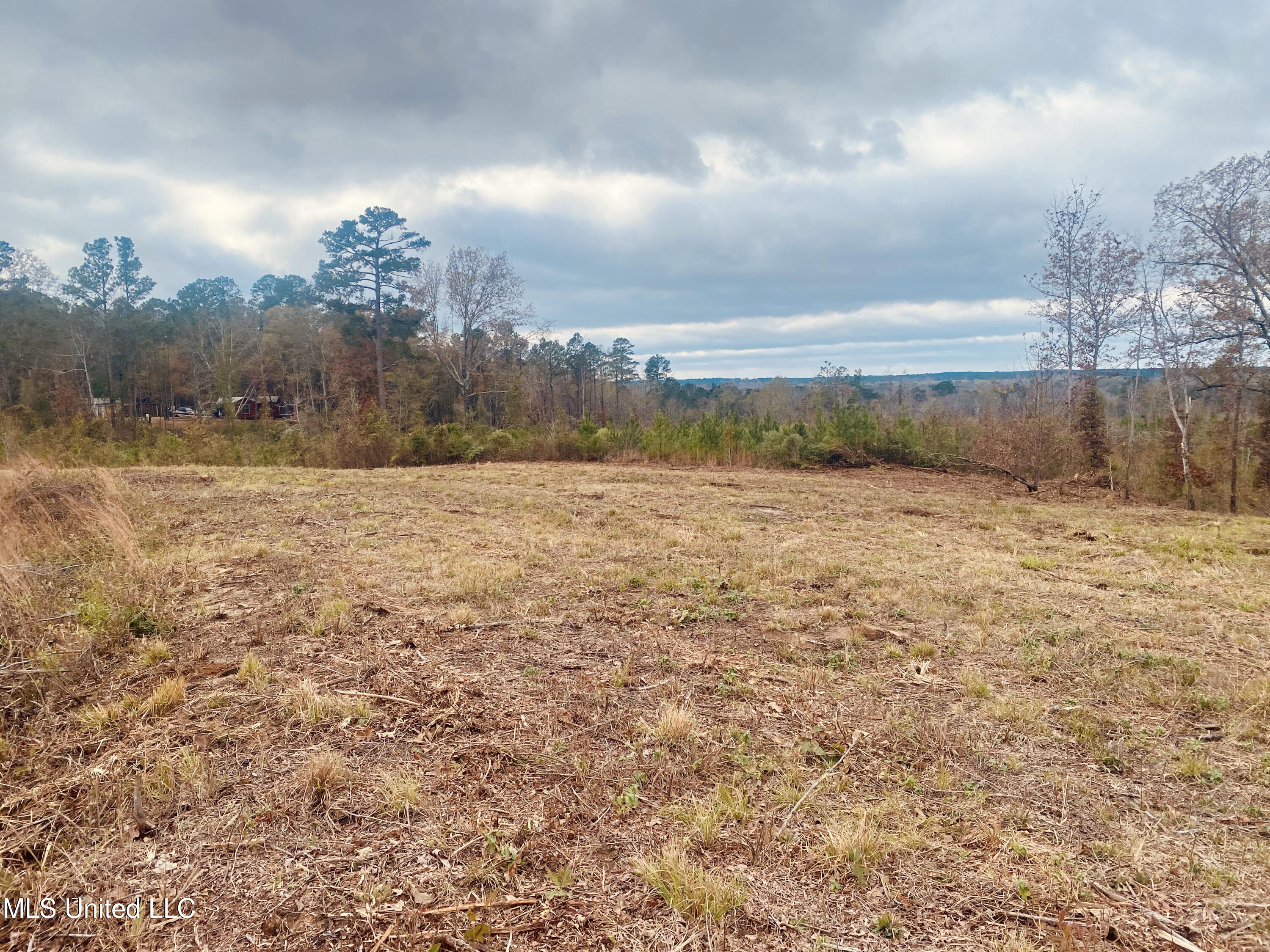 St Anne Road Carthage, MS 39051 - Photo 4 of 8 IMG_1353