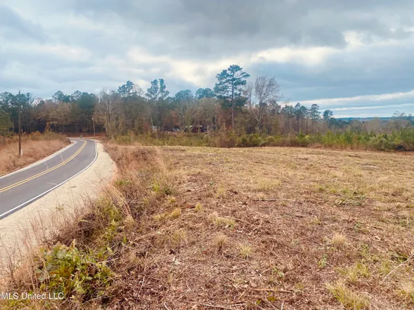 $27,000 | St Anne Road, Carthage, MS 39051