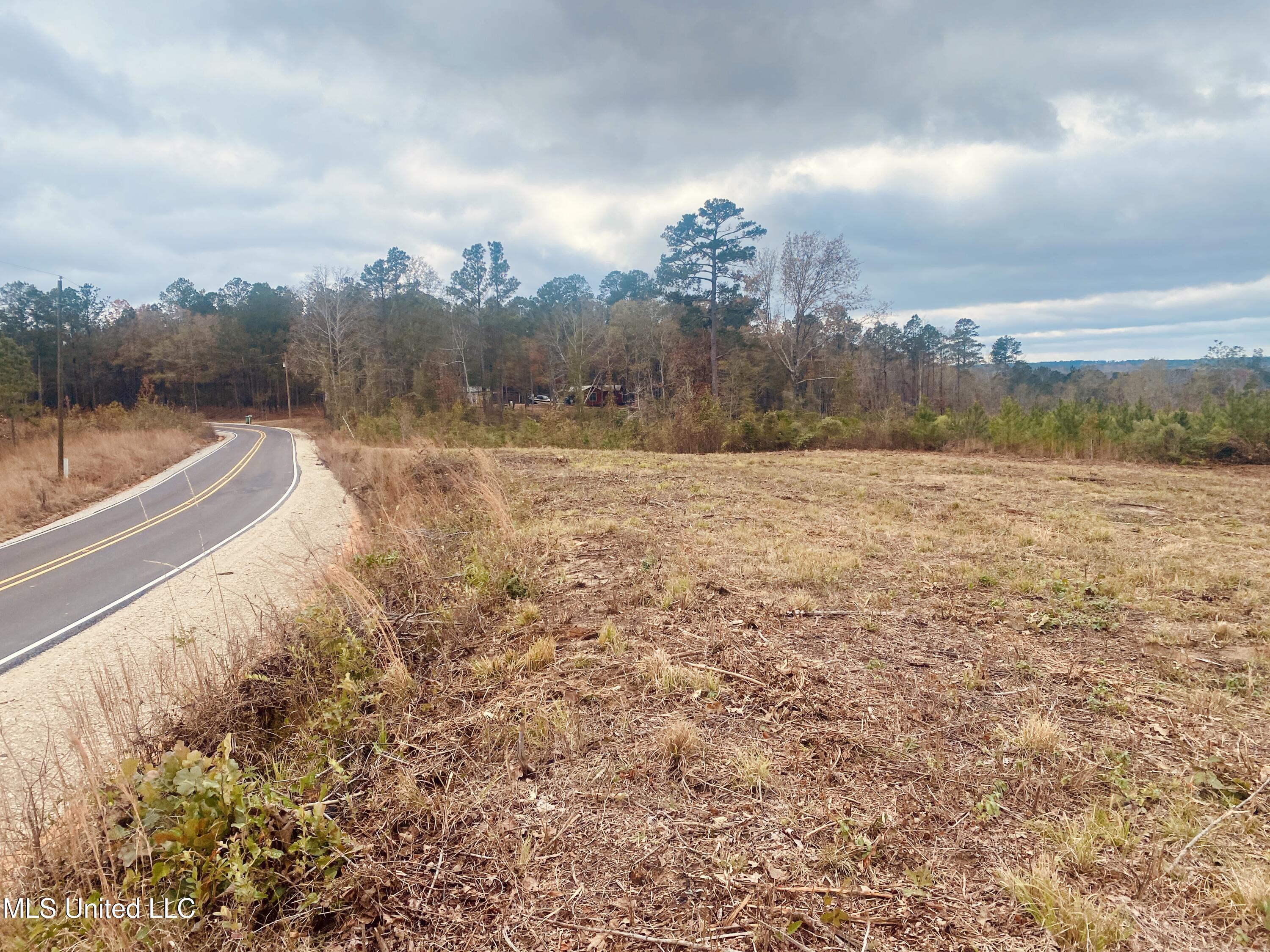 St Anne Road Carthage, MS 39051 - Photo 5 of 8 IMG_1354