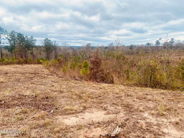 $27,000 | St Anne Road, Carthage, MS 39051