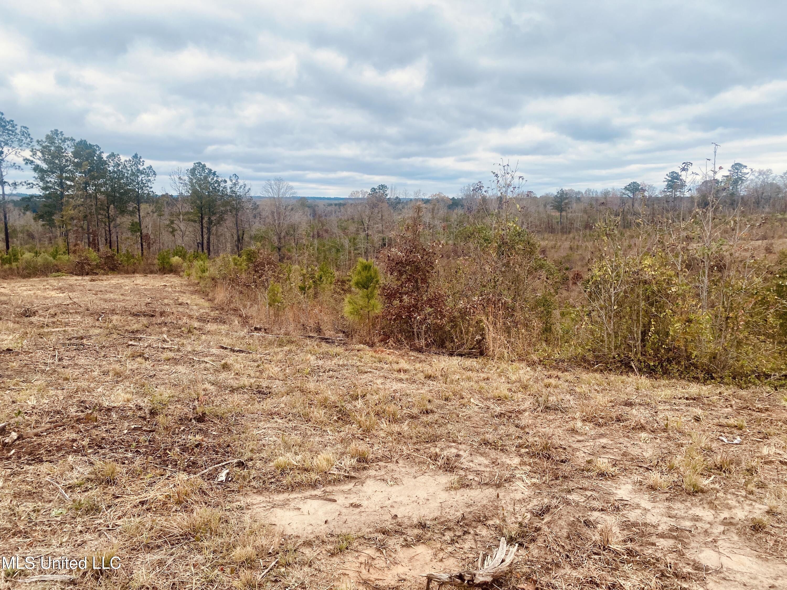 St Anne Road Carthage, MS 39051 - Photo 6 of 8 IMG_1355