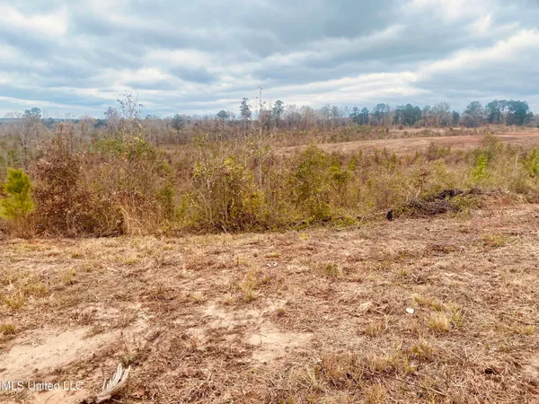 $27,000 | St Anne Road, Carthage, MS 39051