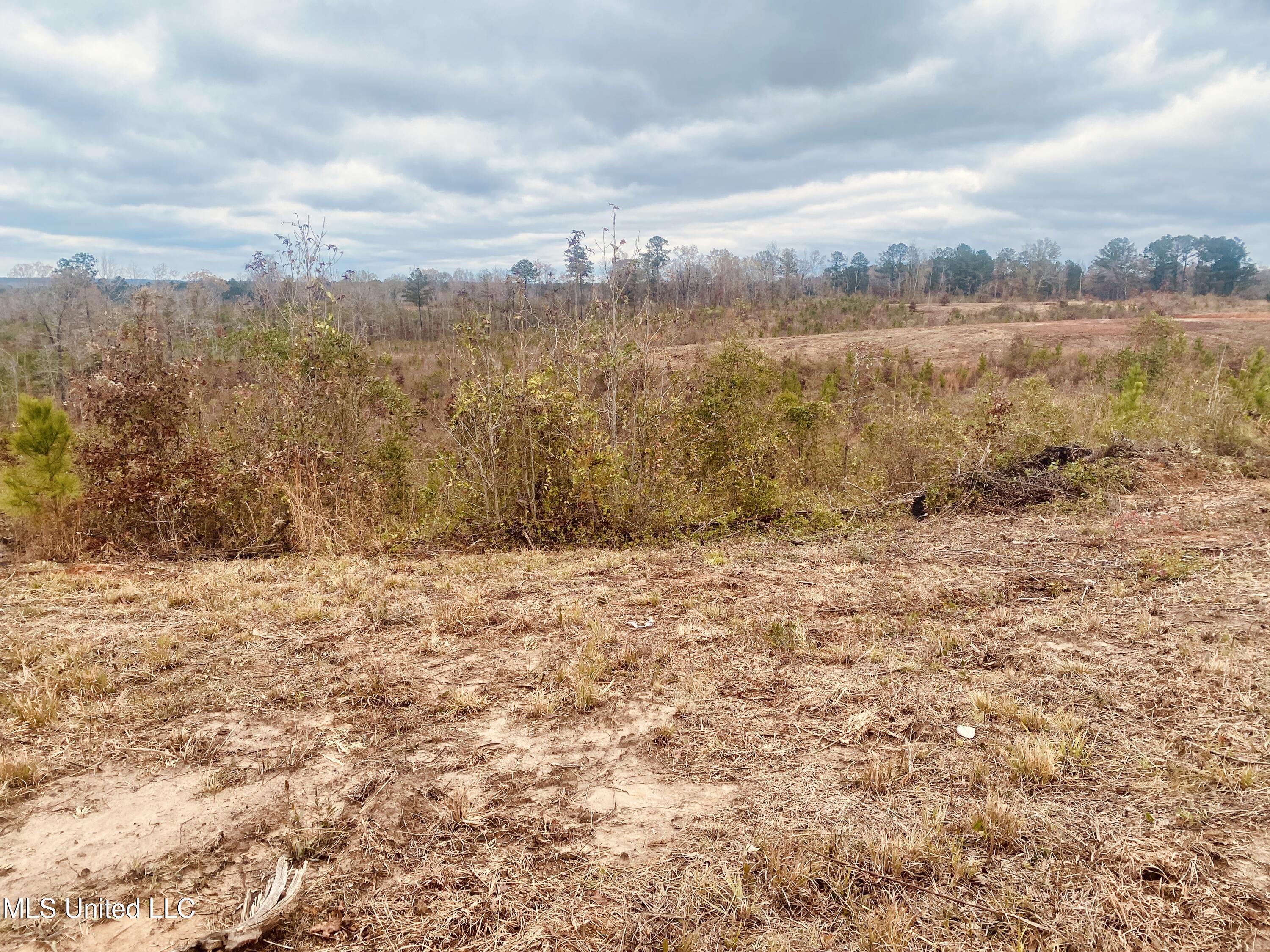 St Anne Road Carthage, MS 39051 - Photo 7 of 8 IMG_1356
