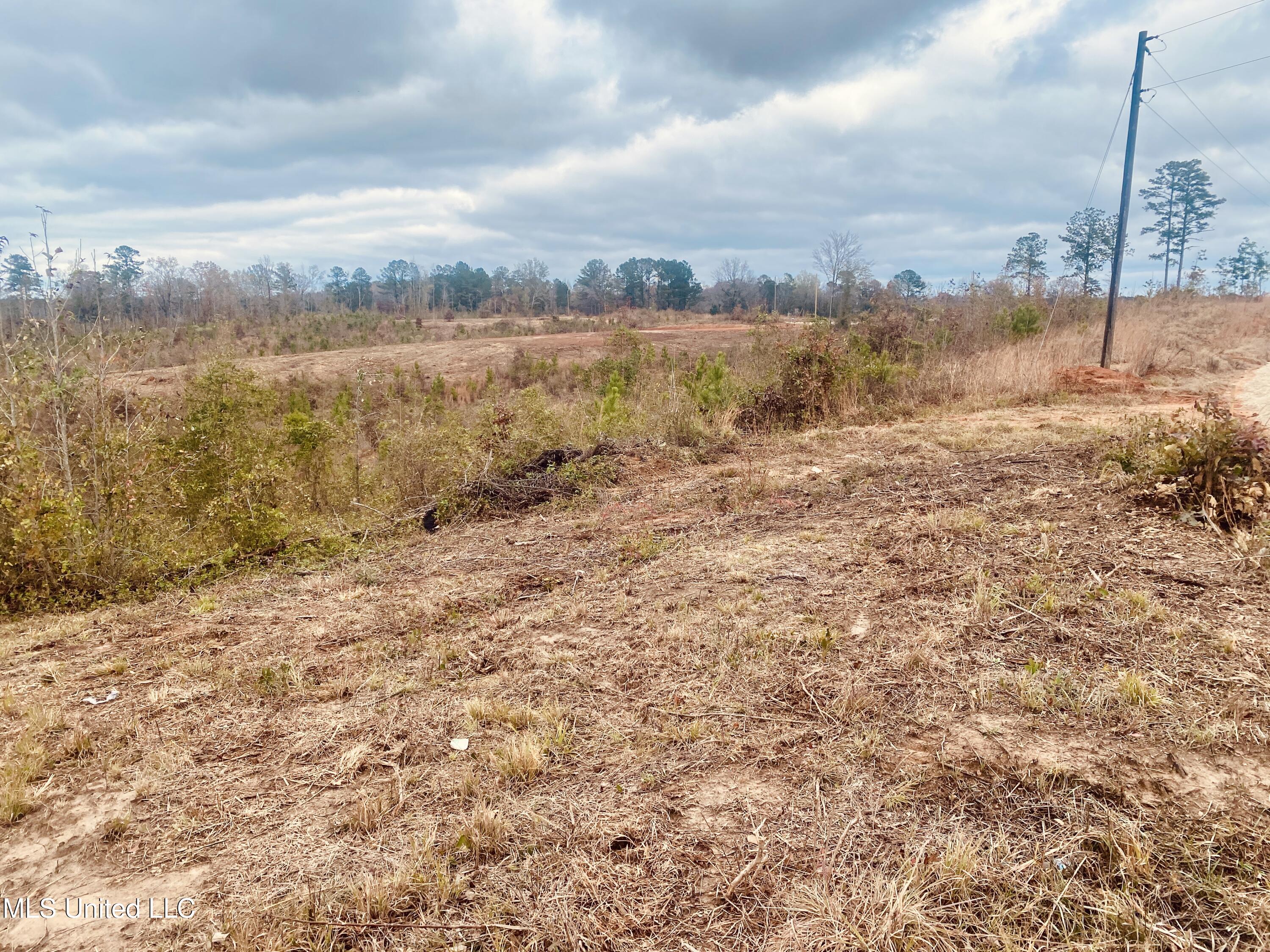 St Anne Road Carthage, MS 39051 - Photo 8 of 8 IMG_1357