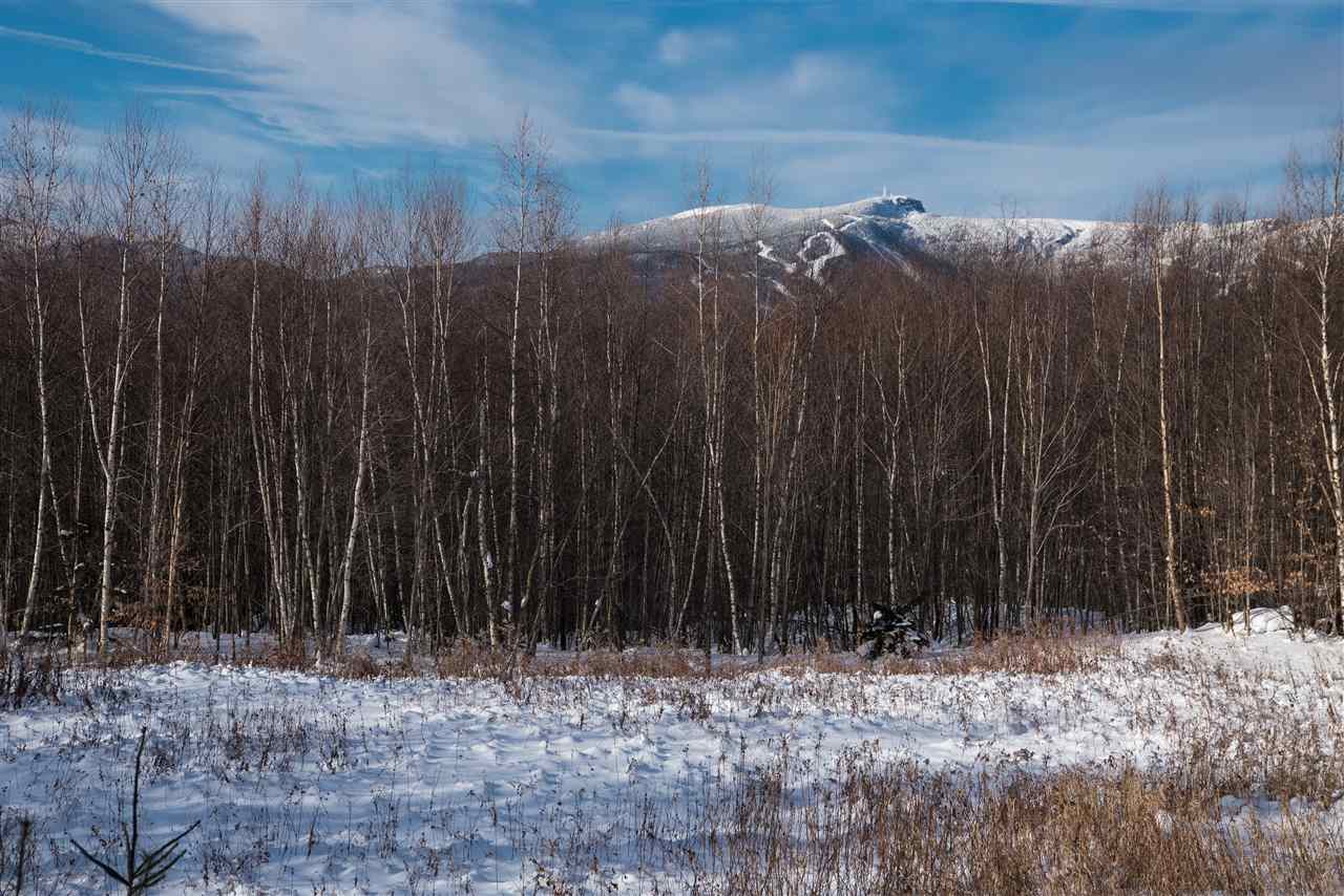 Lot 88 Wade Pasture Road, Unit 88 Stowe, VT 05672 - Photo 14 of 14 Gallery Image 14