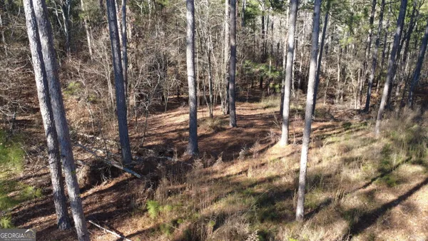 $75,000 | 1051 Bluff Road, Elberton, GA 30635