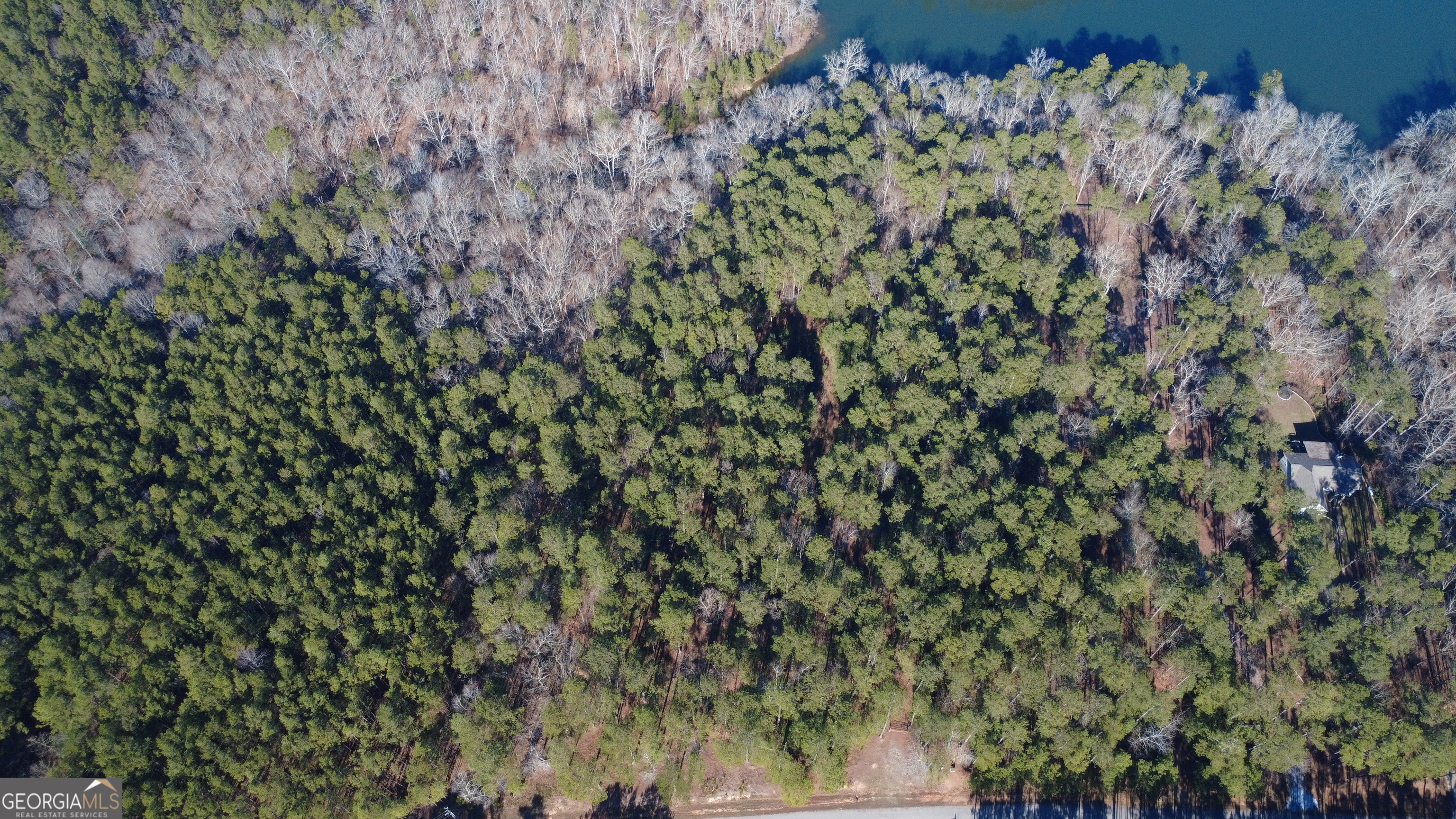 1051 Bluff Road Elberton, GA 30635 - Photo 4 of 6