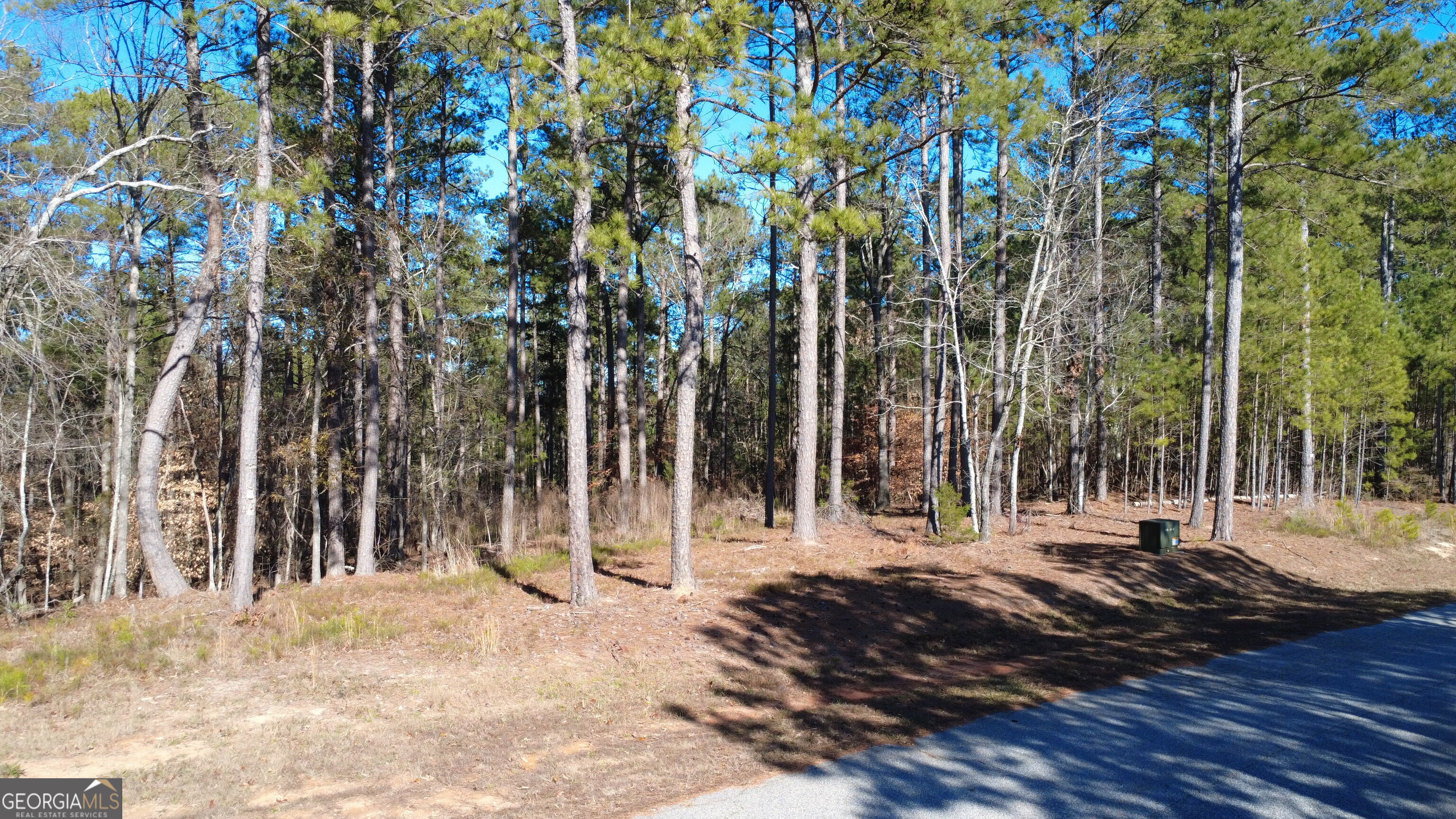 1051 Bluff Road Elberton, GA 30635 - Photo 5 of 6