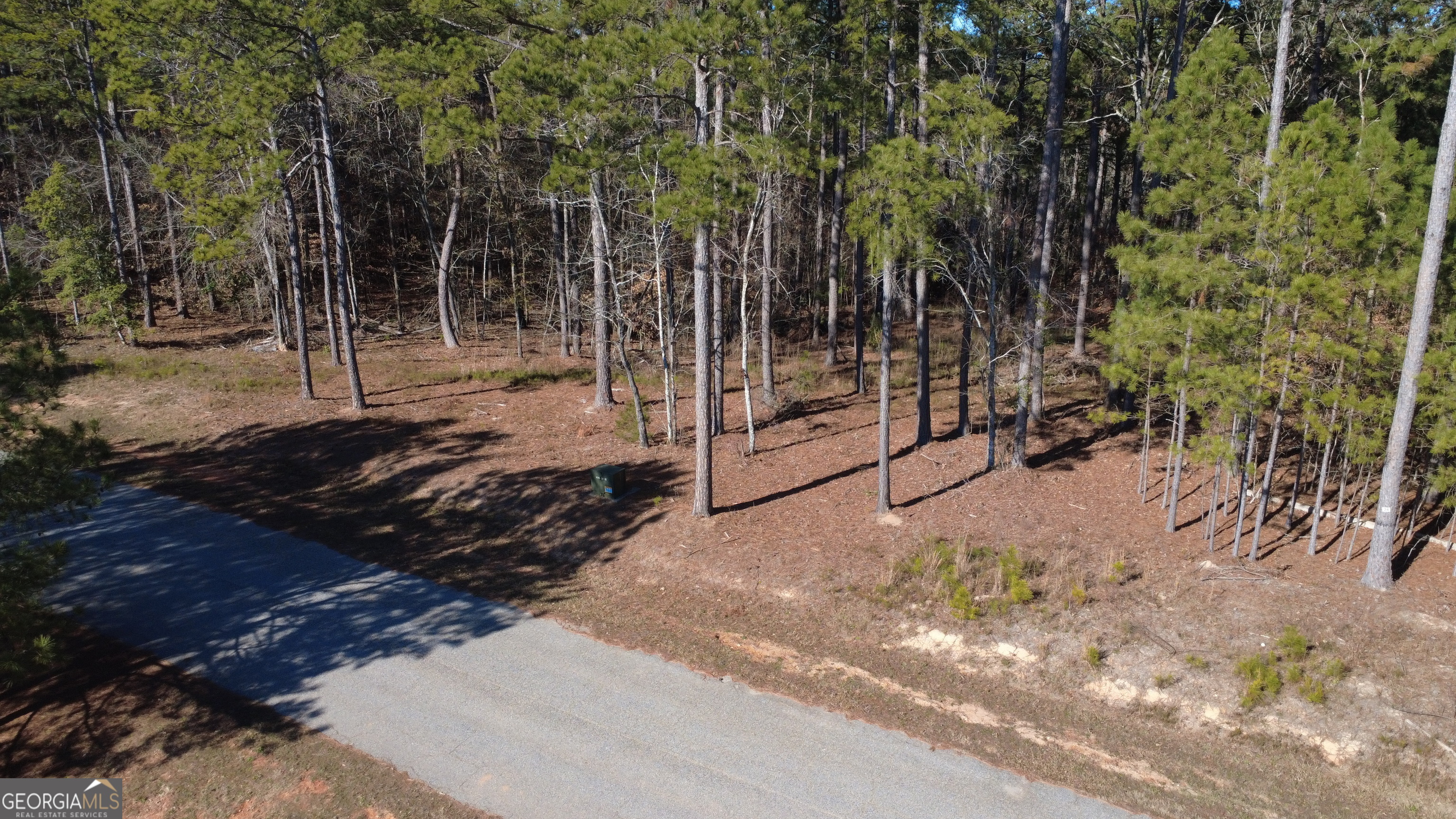 1051 Bluff Road Elberton, GA 30635 - Photo 6 of 6