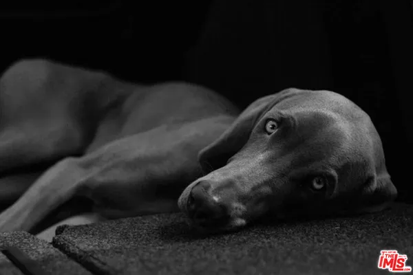 a picture of a bathroom with a sink and a mirror