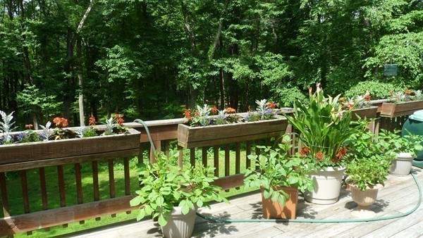 27 Westcott Road Harvard, MA 01451 - Photo 29 of 30 a outdoor view with a sitting space