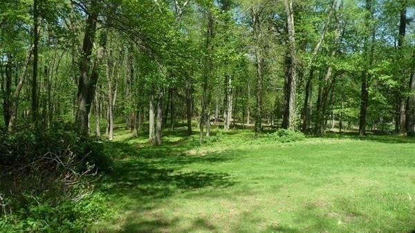 27 Westcott Road Harvard, MA 01451 - Photo 30 of 30 a view of outdoor space with green field and trees
