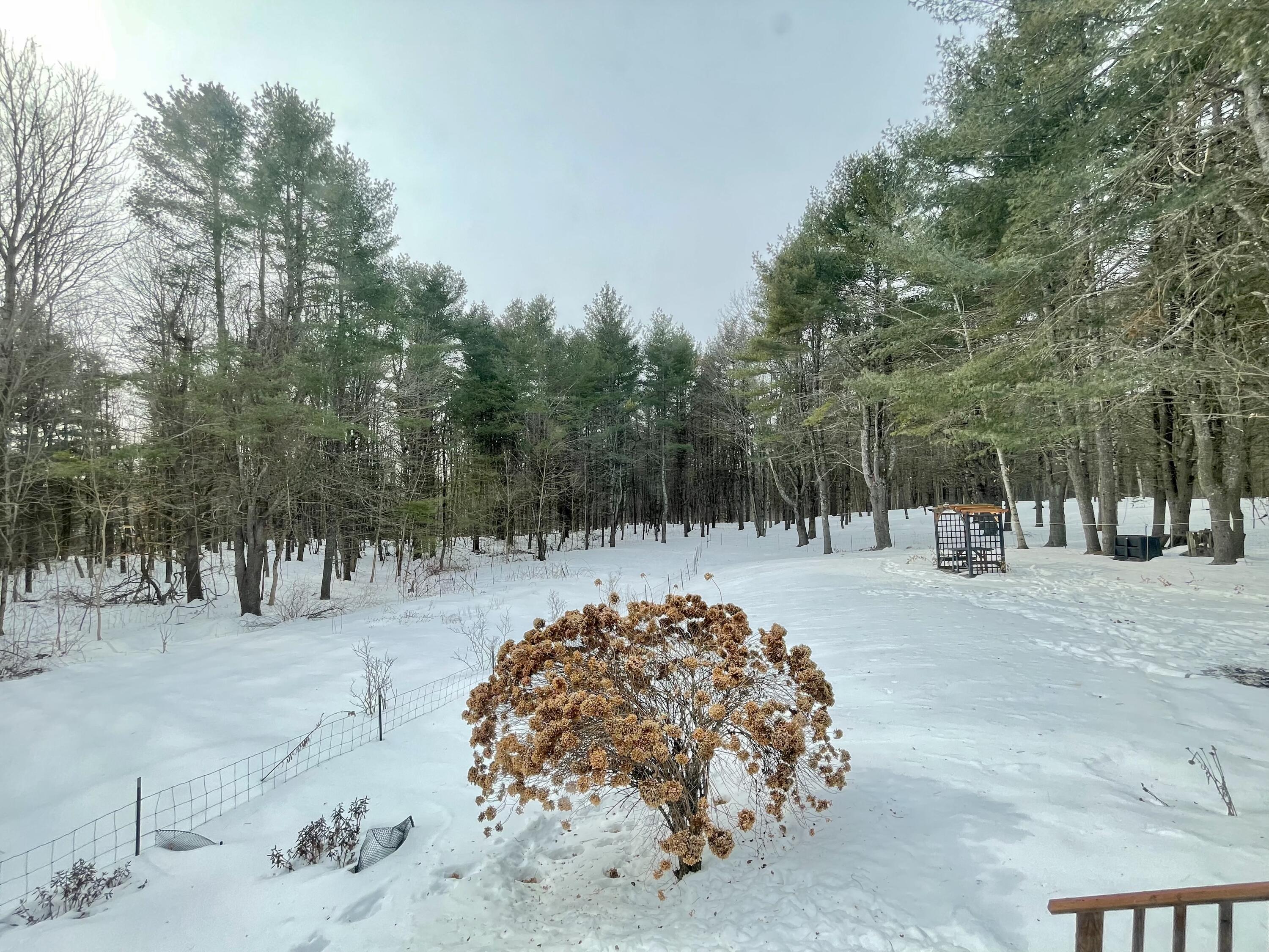 436 Main Street Waterville, ME 04901 - Photo 65 of 65 6CF01133-248F-4E0D-B0A6-BDAFB71D68B3