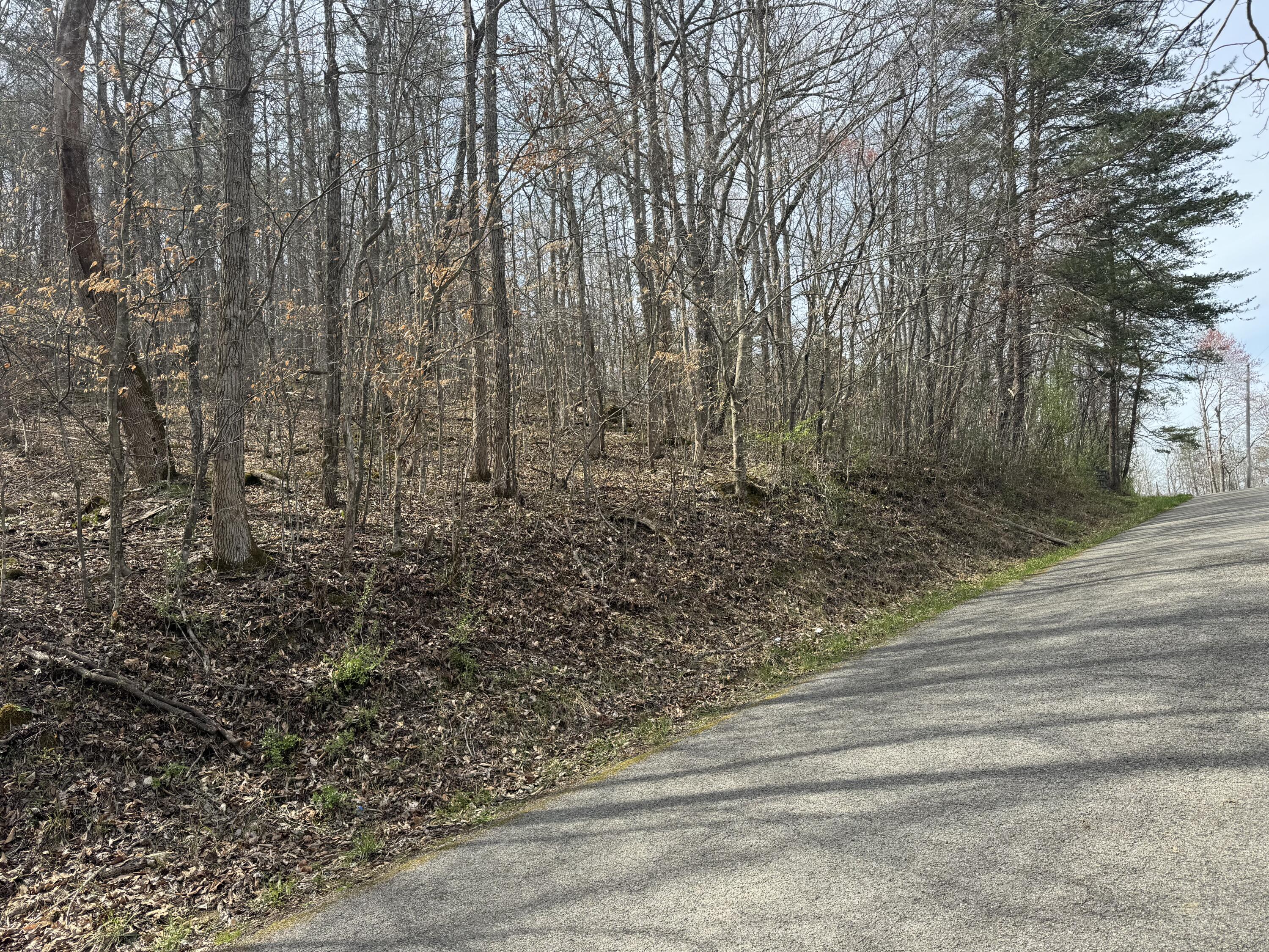 9999 Ryans Creek Road Strunk, KY 42649 - Photo 2 of 22 IMG_3994