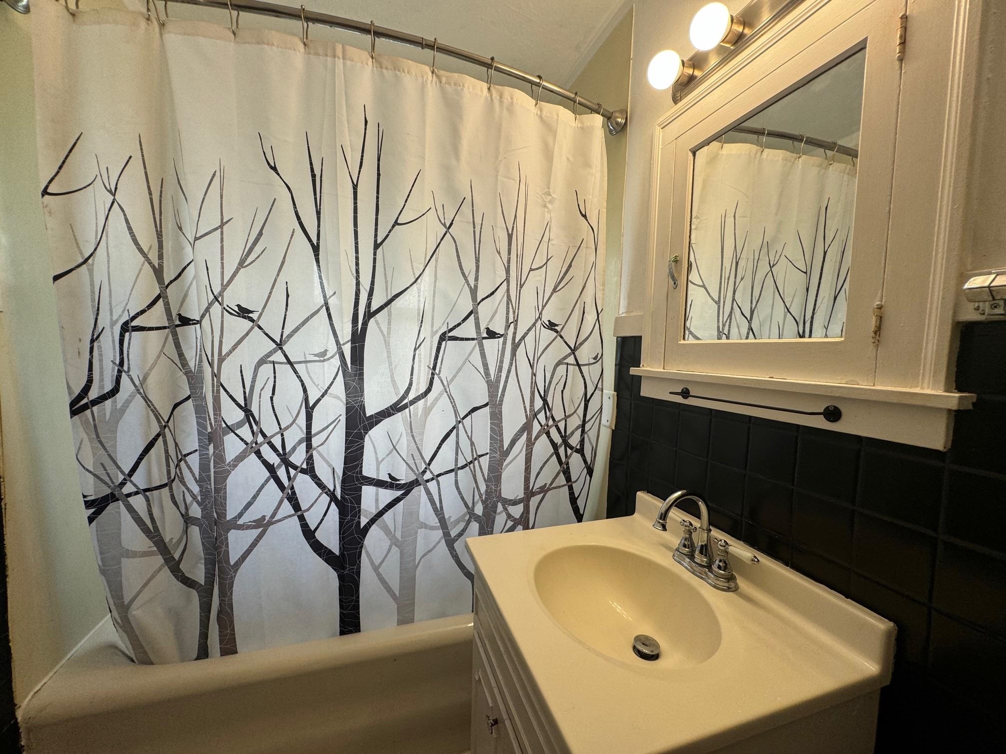 2231 9th Avenue Rockford, IL 61104 - Photo 19 of 44 a bathroom with a sink and a mirror