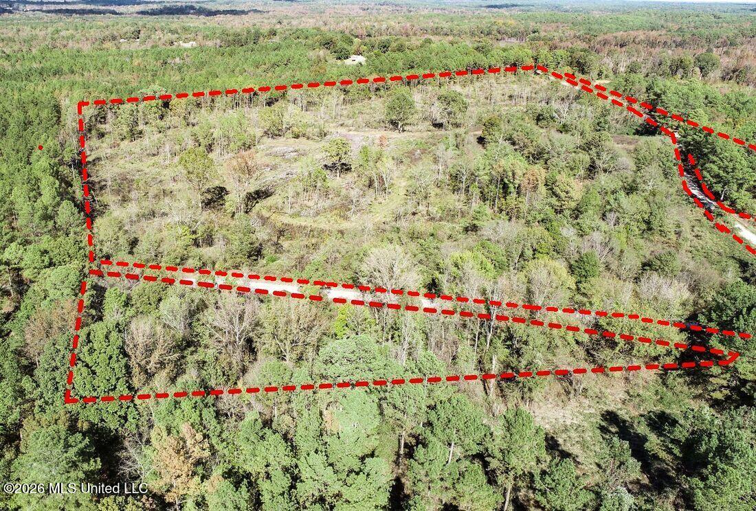 154 County Road Tillatoba, MS 38961 - Photo 27 of 58 4kgrdn77-orig_origbbb